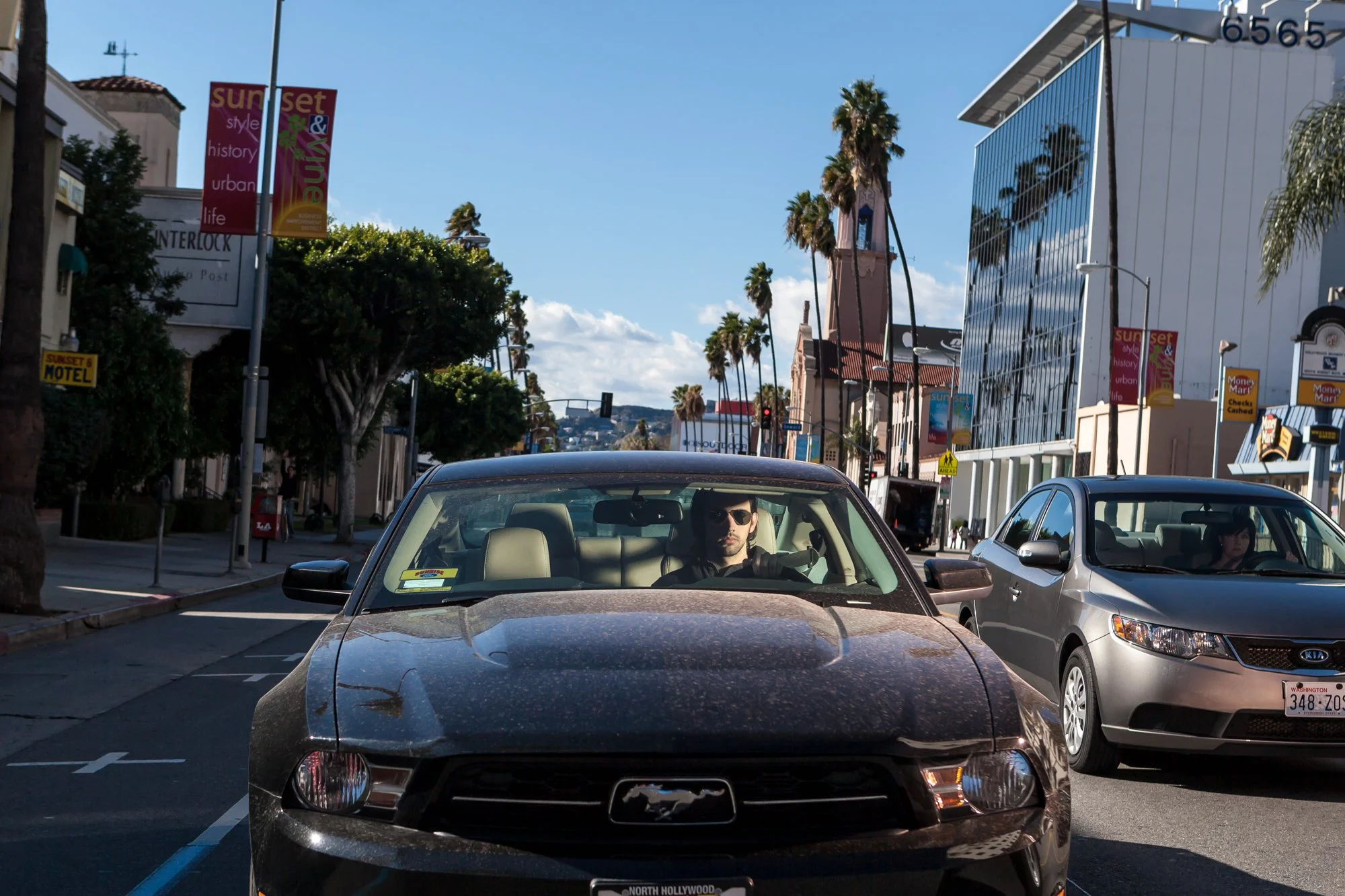 Black Mustang, Hollywood - 2010