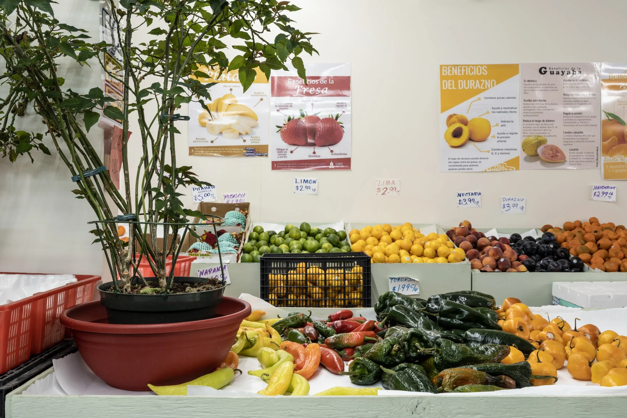 El Naranjo, Chicago (Back of the Yards) #2.jpg