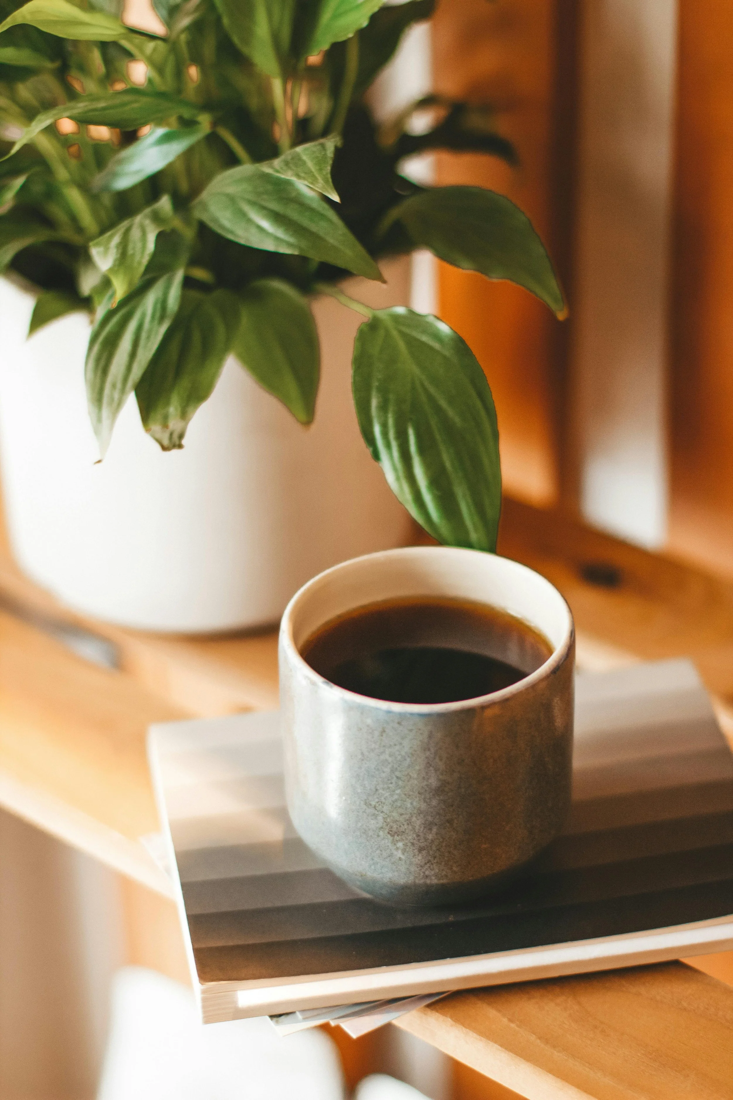 A ceramic cup filled with black coffee placed on a plate on top of a wooden table, with a potted green leafy plant in the background.