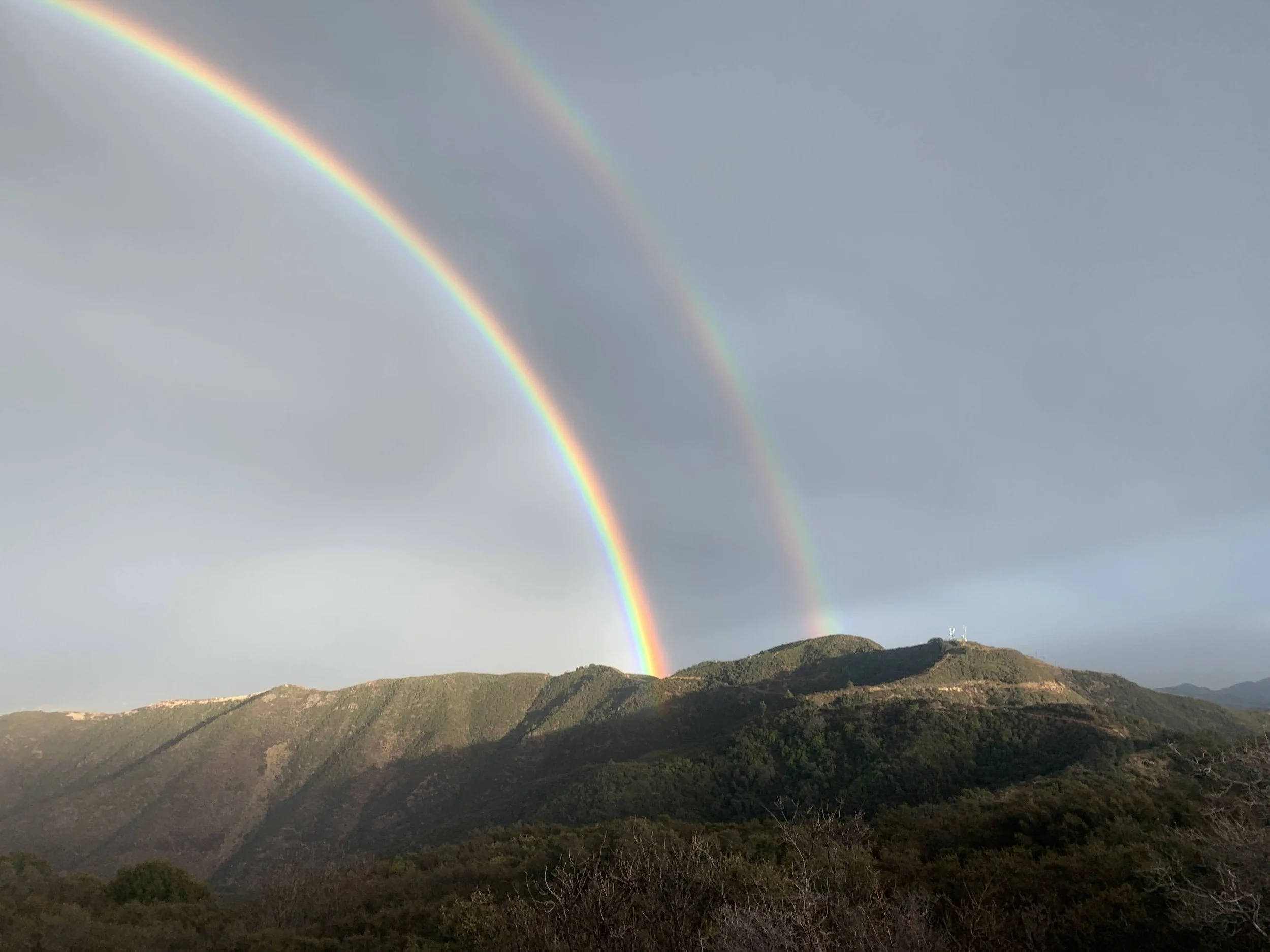 Warriors January Update