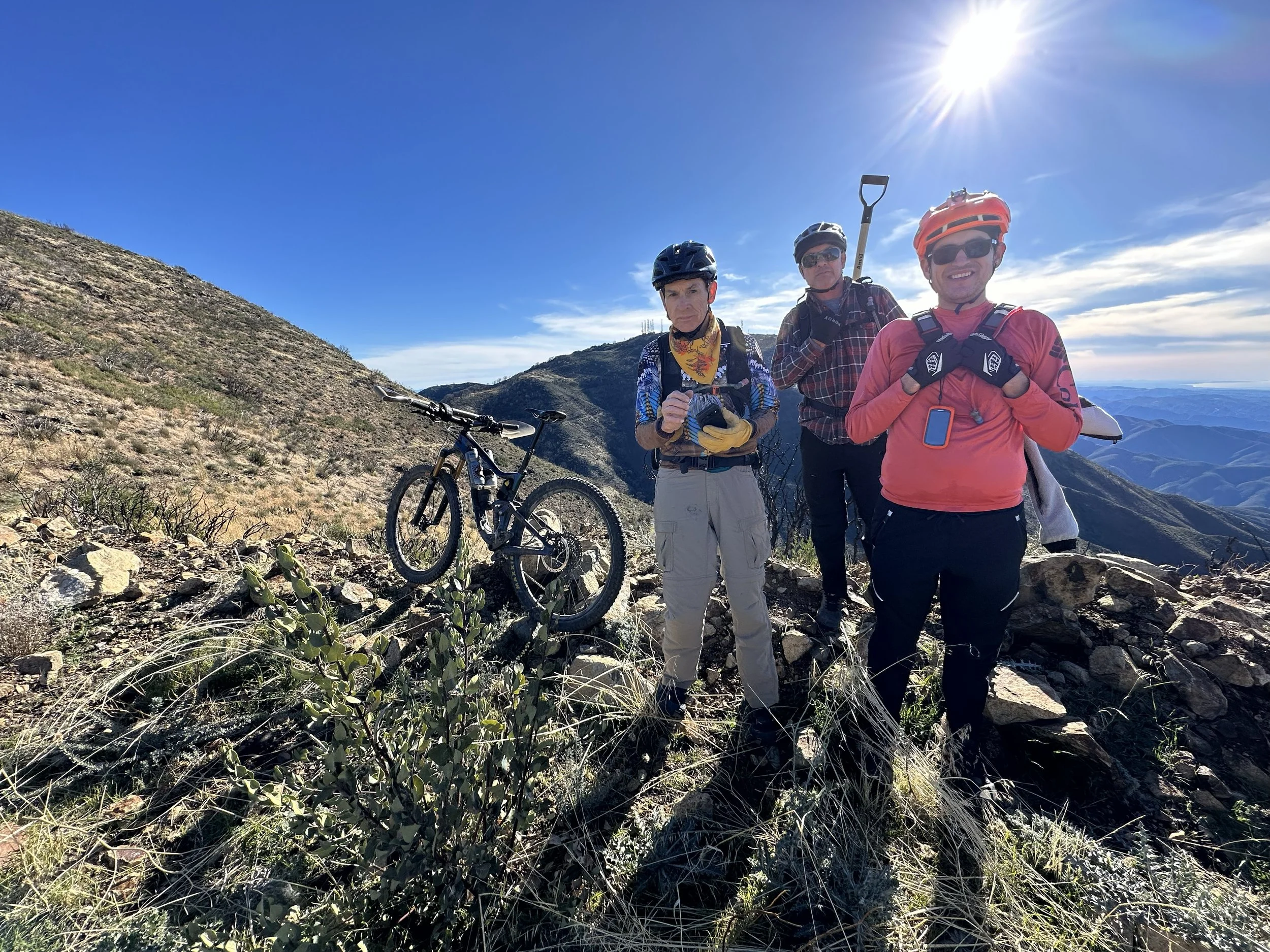 Buckthorn 2025-12-28