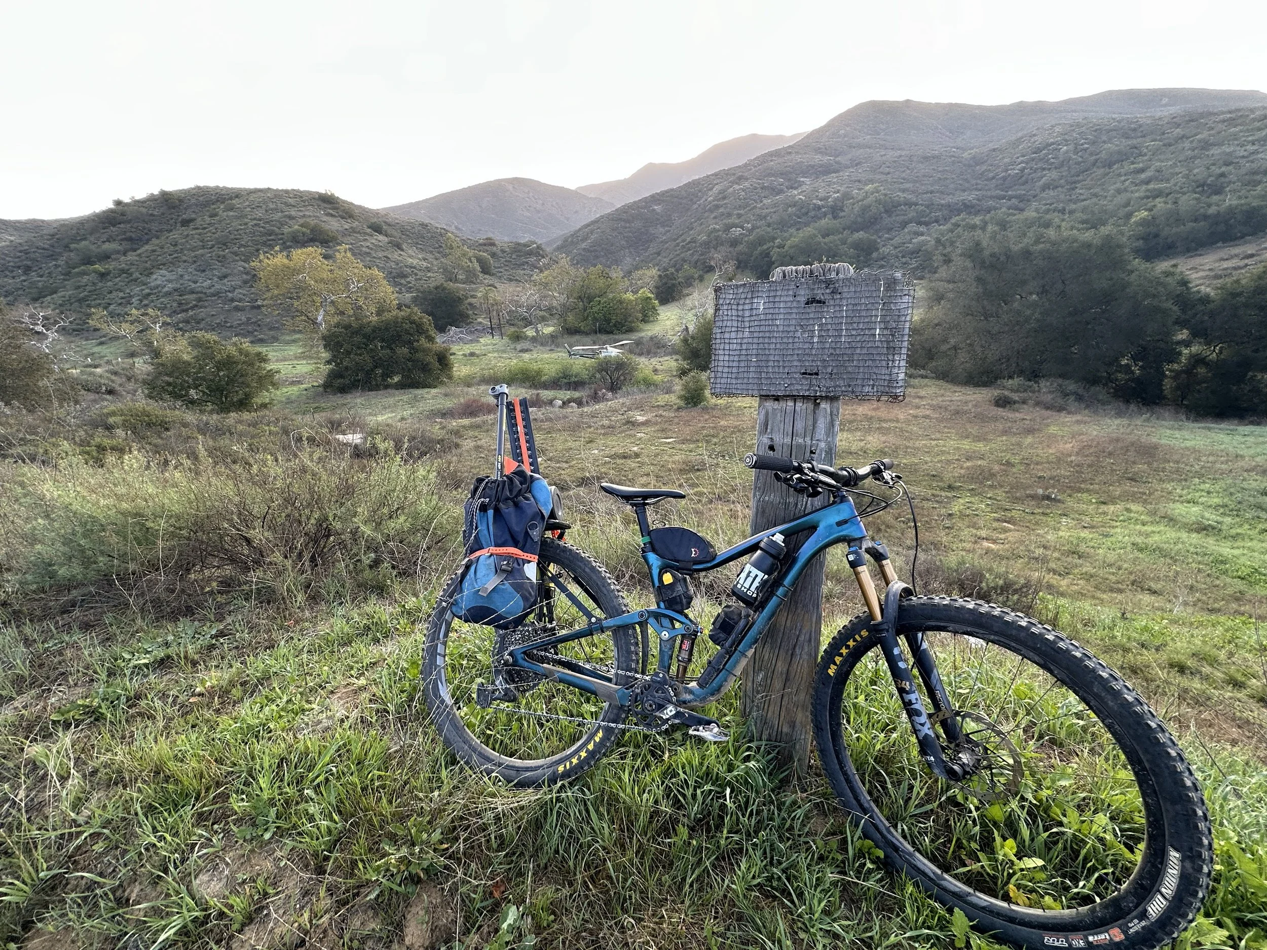 Two Monkeys 2025-03-29