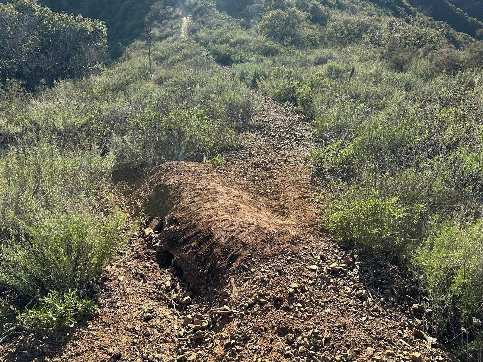 Two Monkeys 2025-03-18