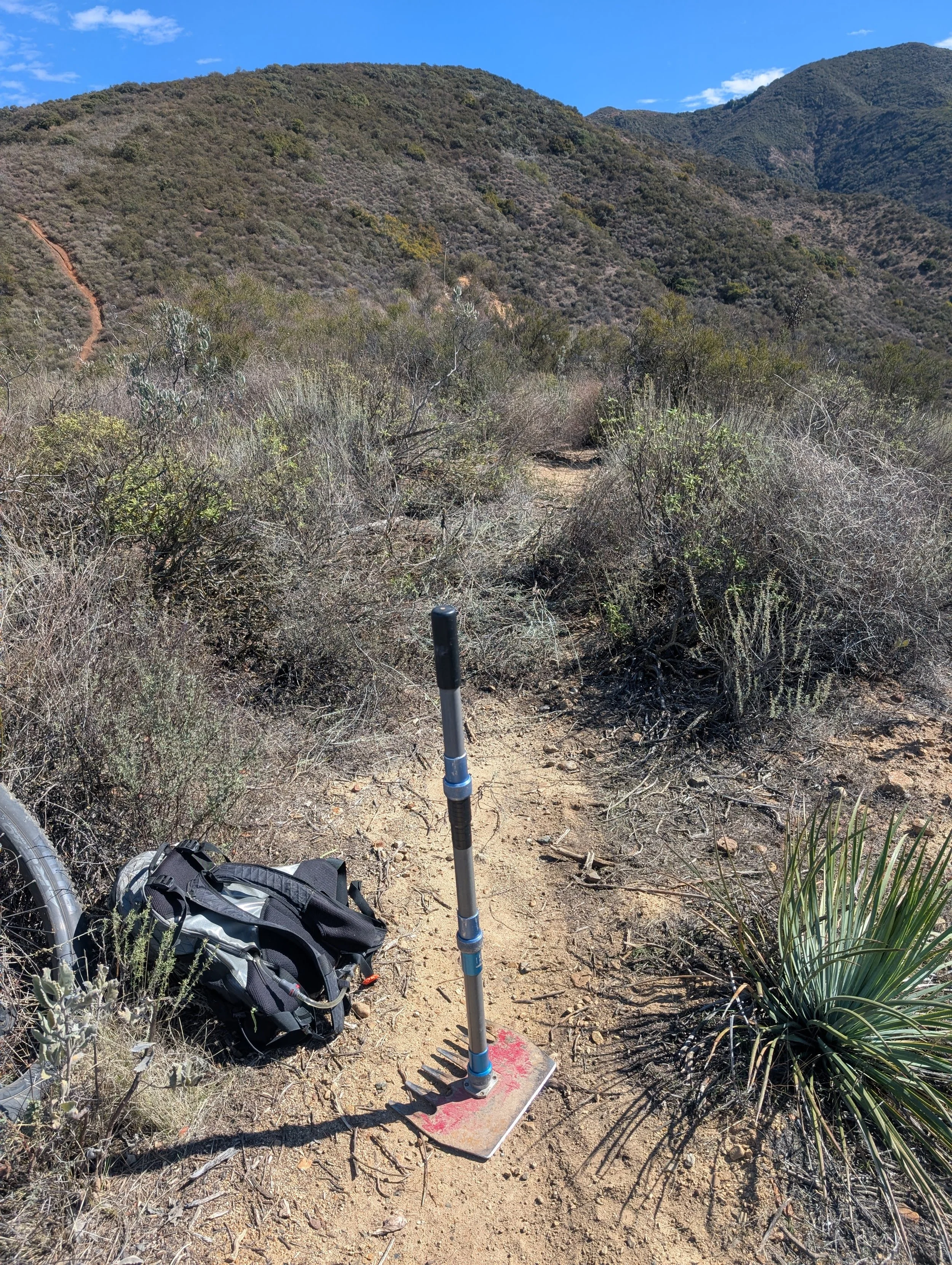 Two Monkeys 2025-02-19