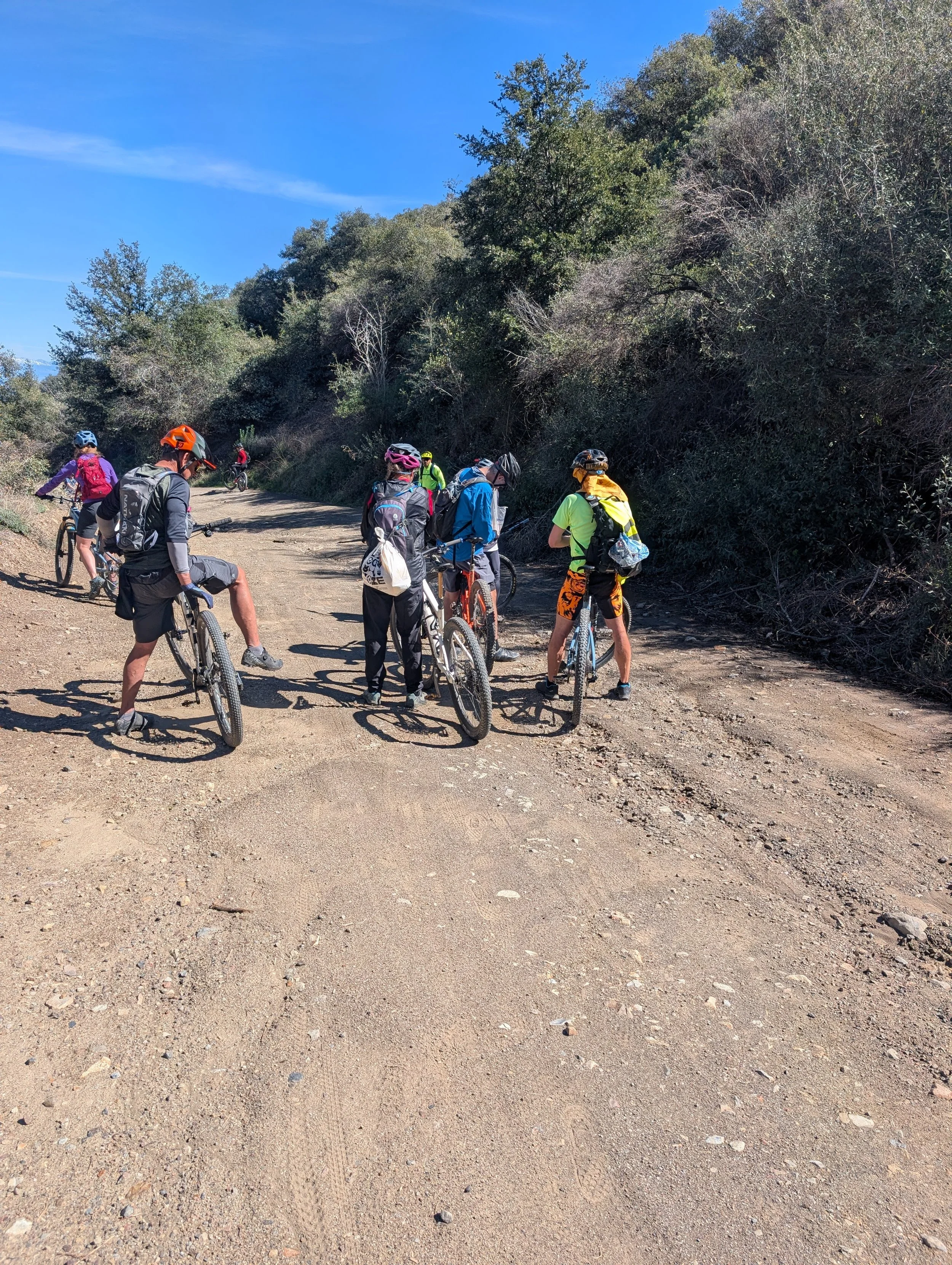 Maple Springs - 2026-02-22 - Trash Pickup