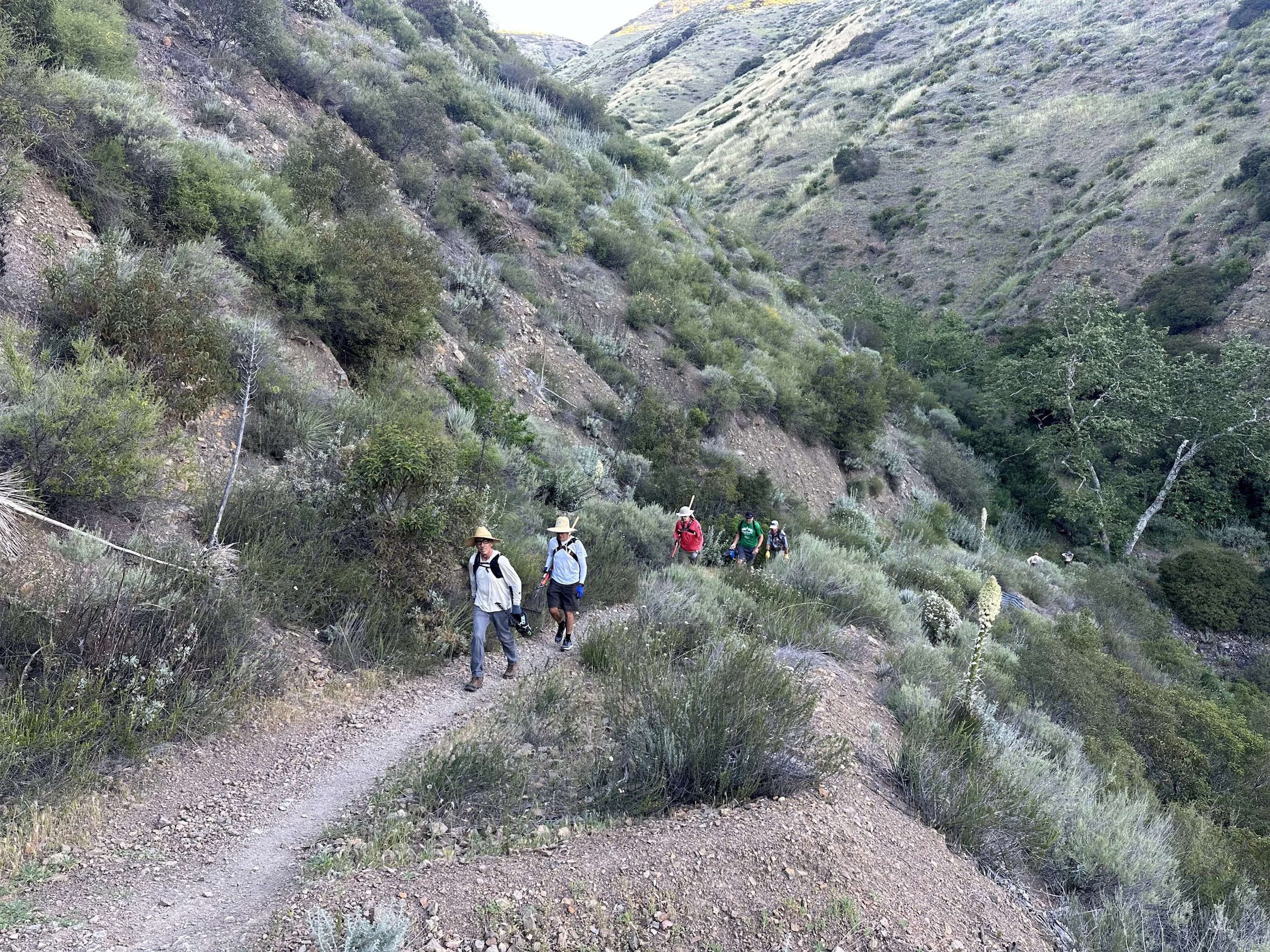 Motorway - 2026-03-21 - Brushing