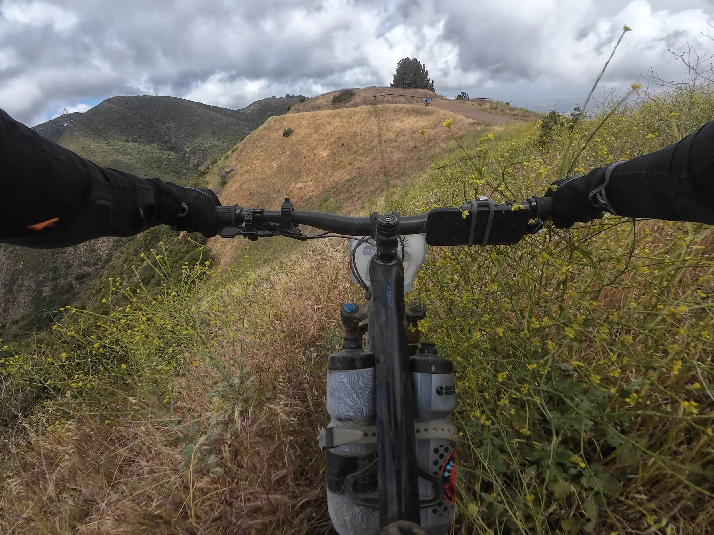 A hillside hilarity
