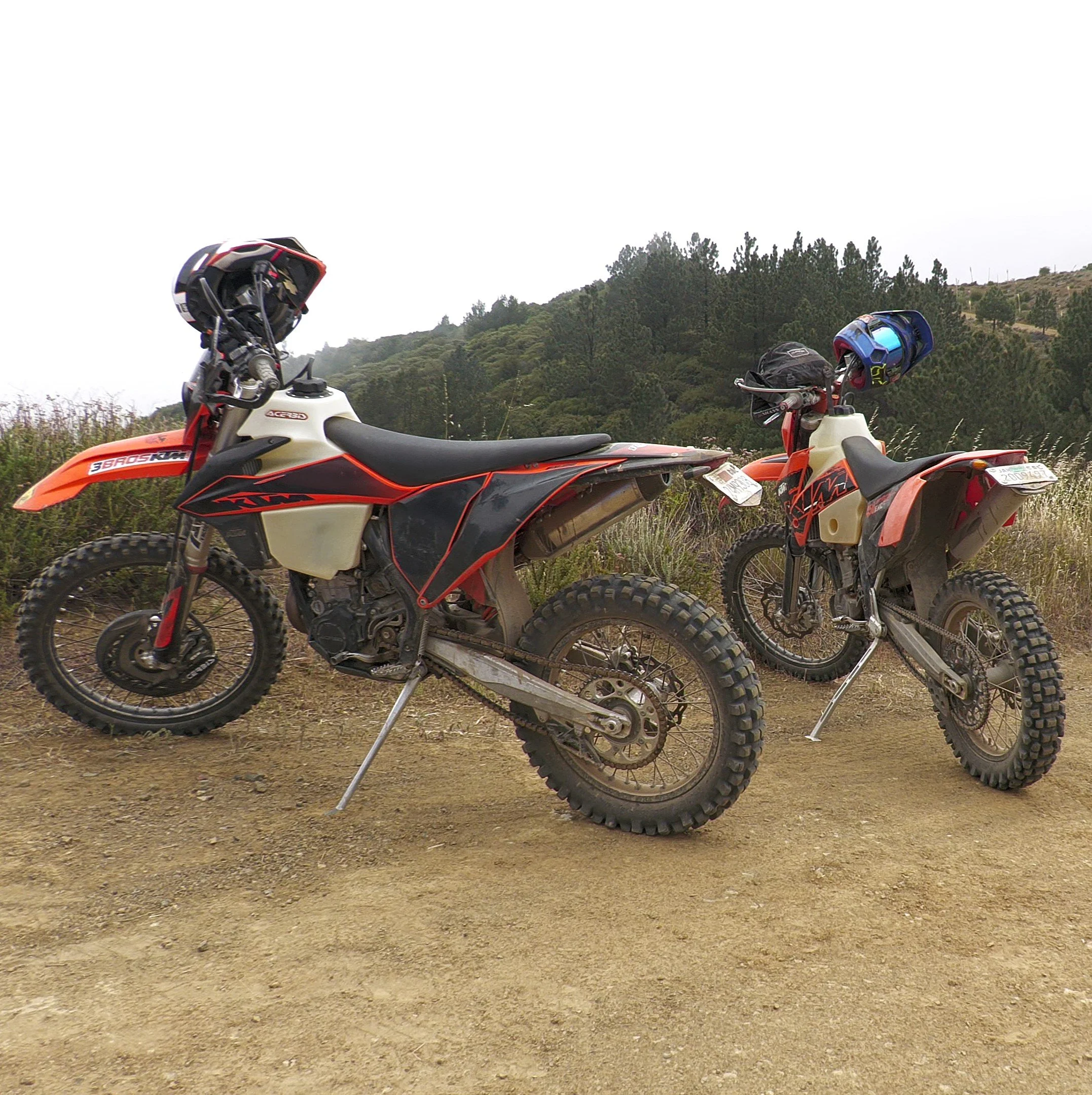 d-bikes