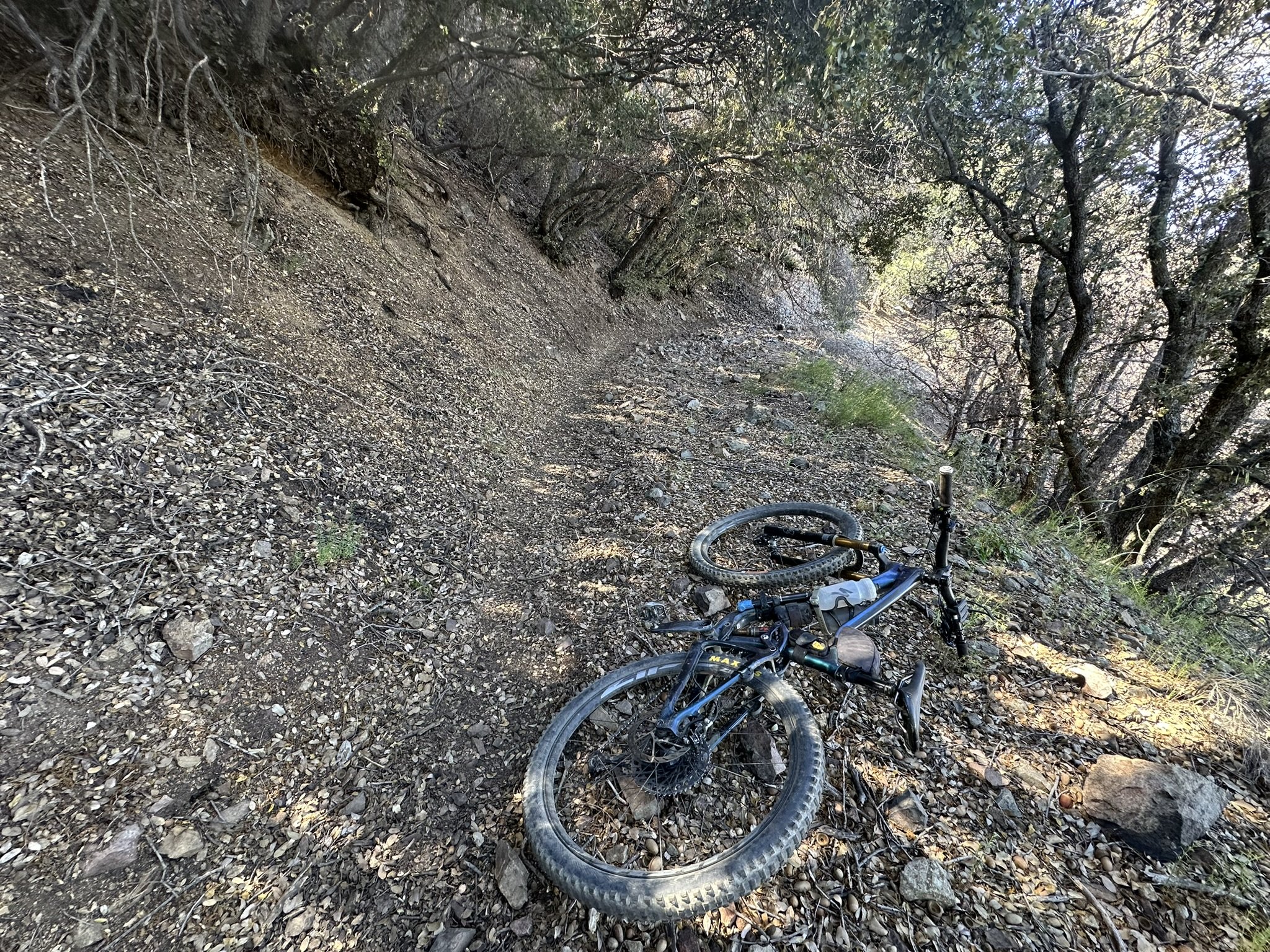 Ride Invite, Trail Proposals, Airport Fire Rehab Update