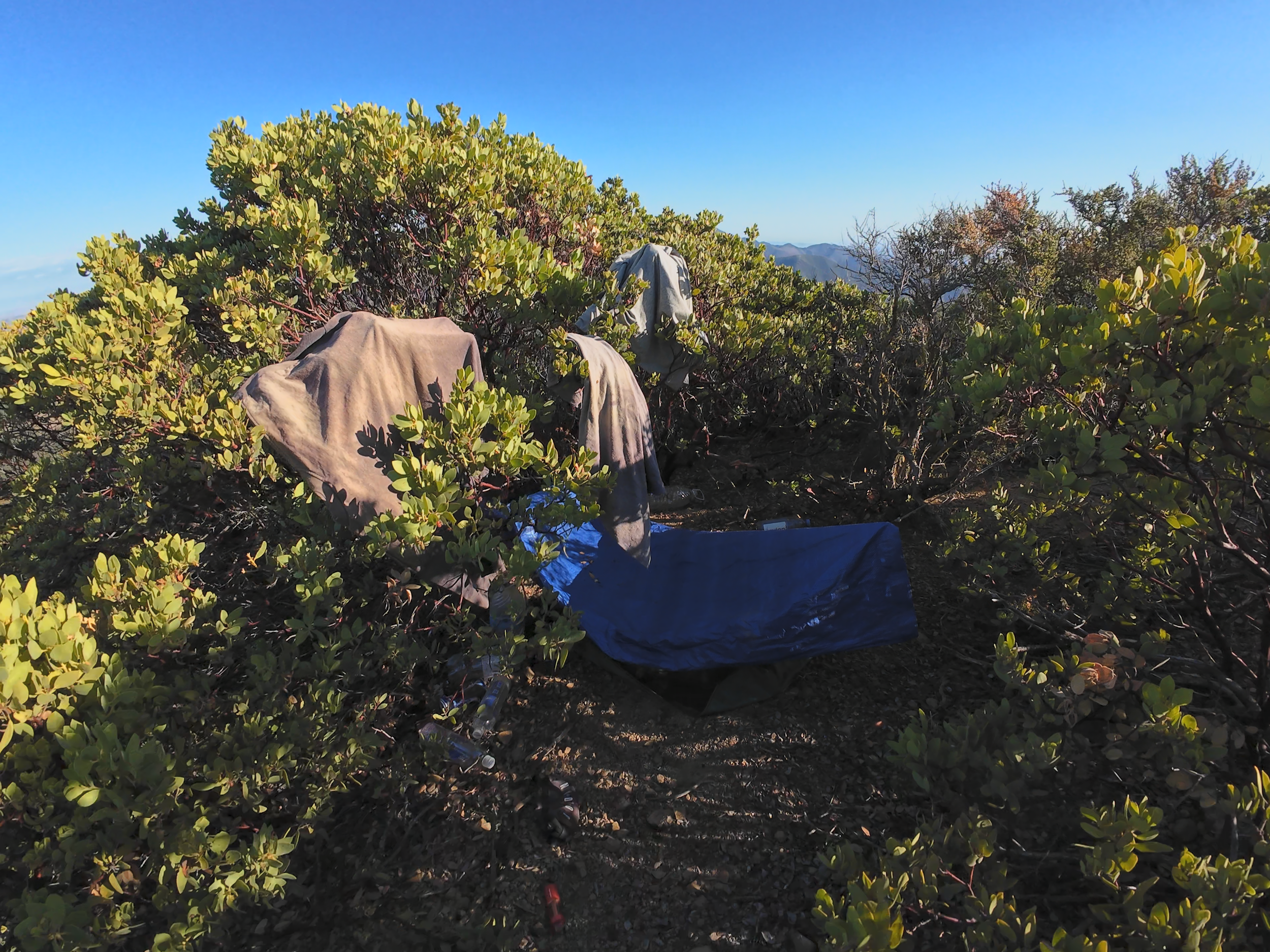 Help Needed for Pleasants Peak this Saturday Oct 10