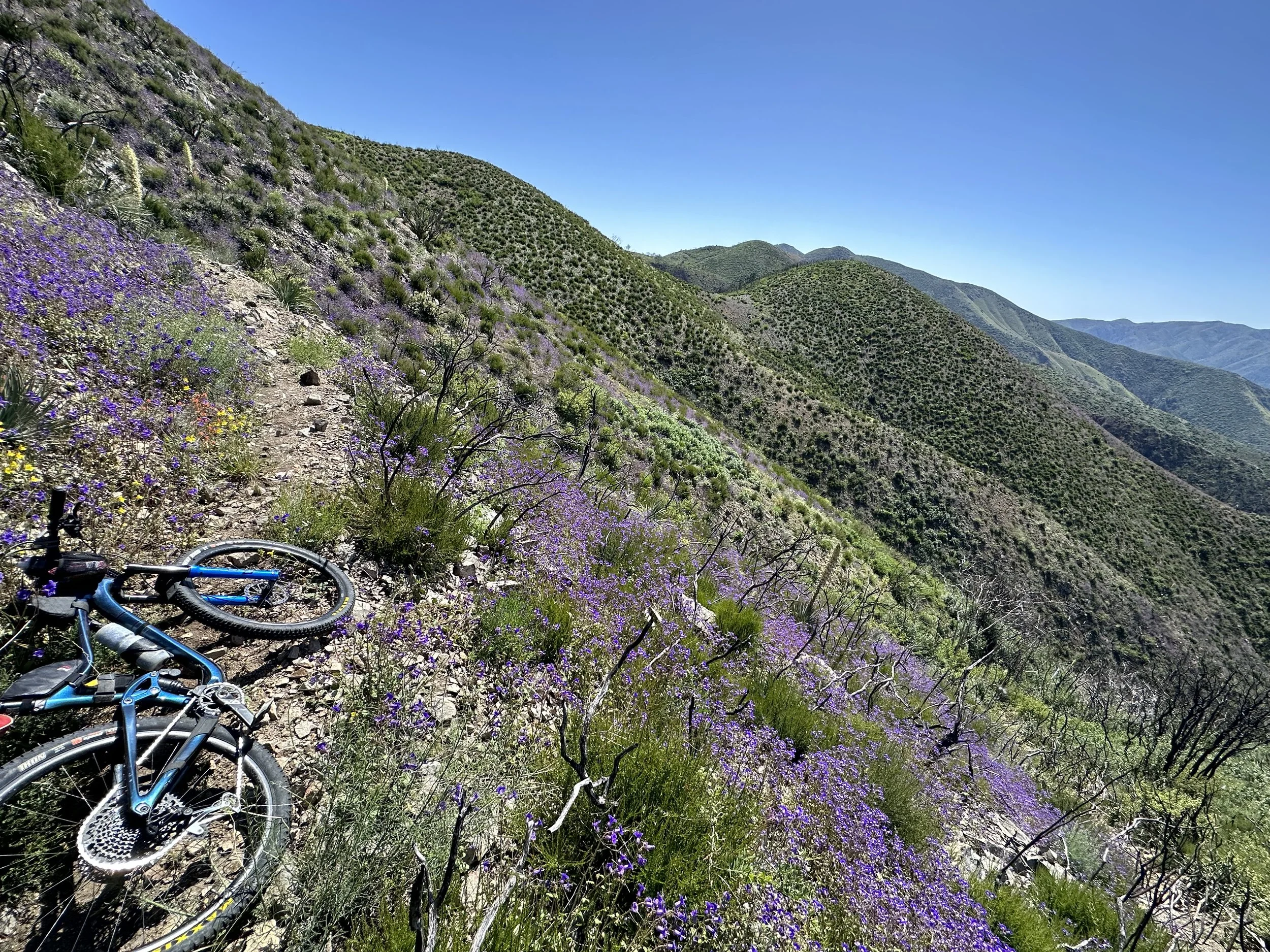 Ascending Holy Jim Trail, nearing the top.