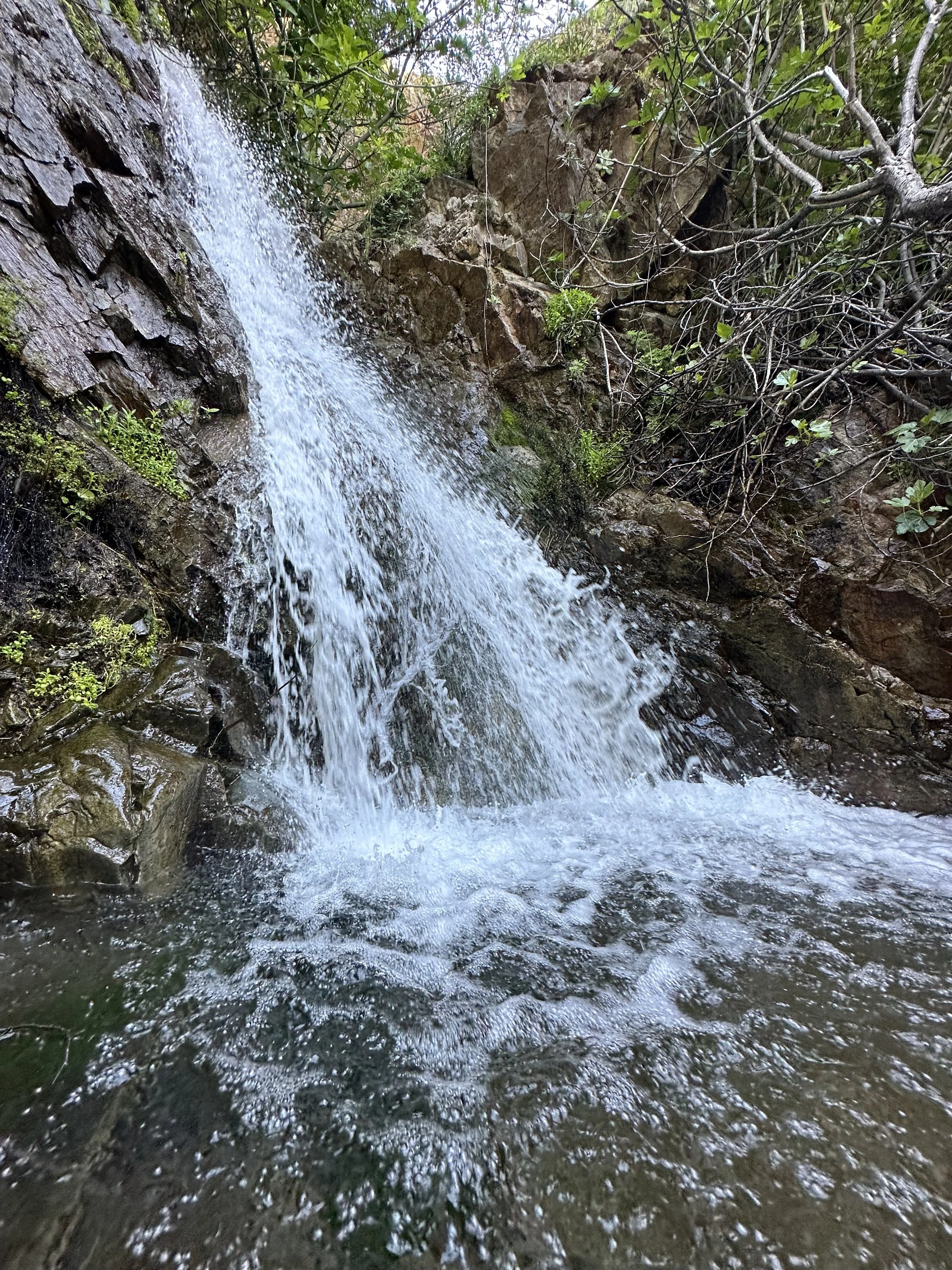 If you like waterfalls, be sure to visit Holy Jim Falls, a short hike from Holy Jim Trail.