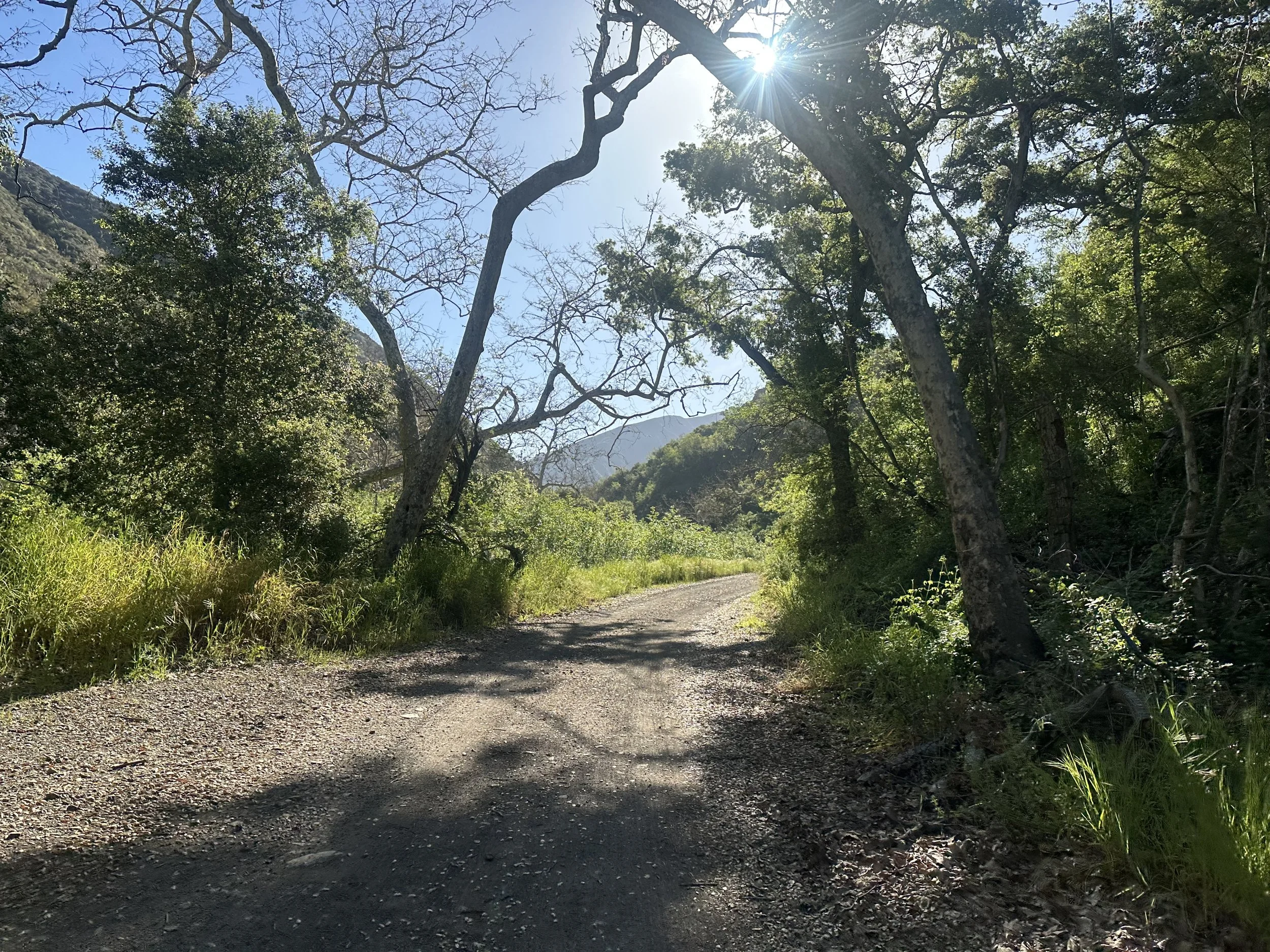On the gravel road stretch of Trabuco Canyon Road heading back into the mountains.
