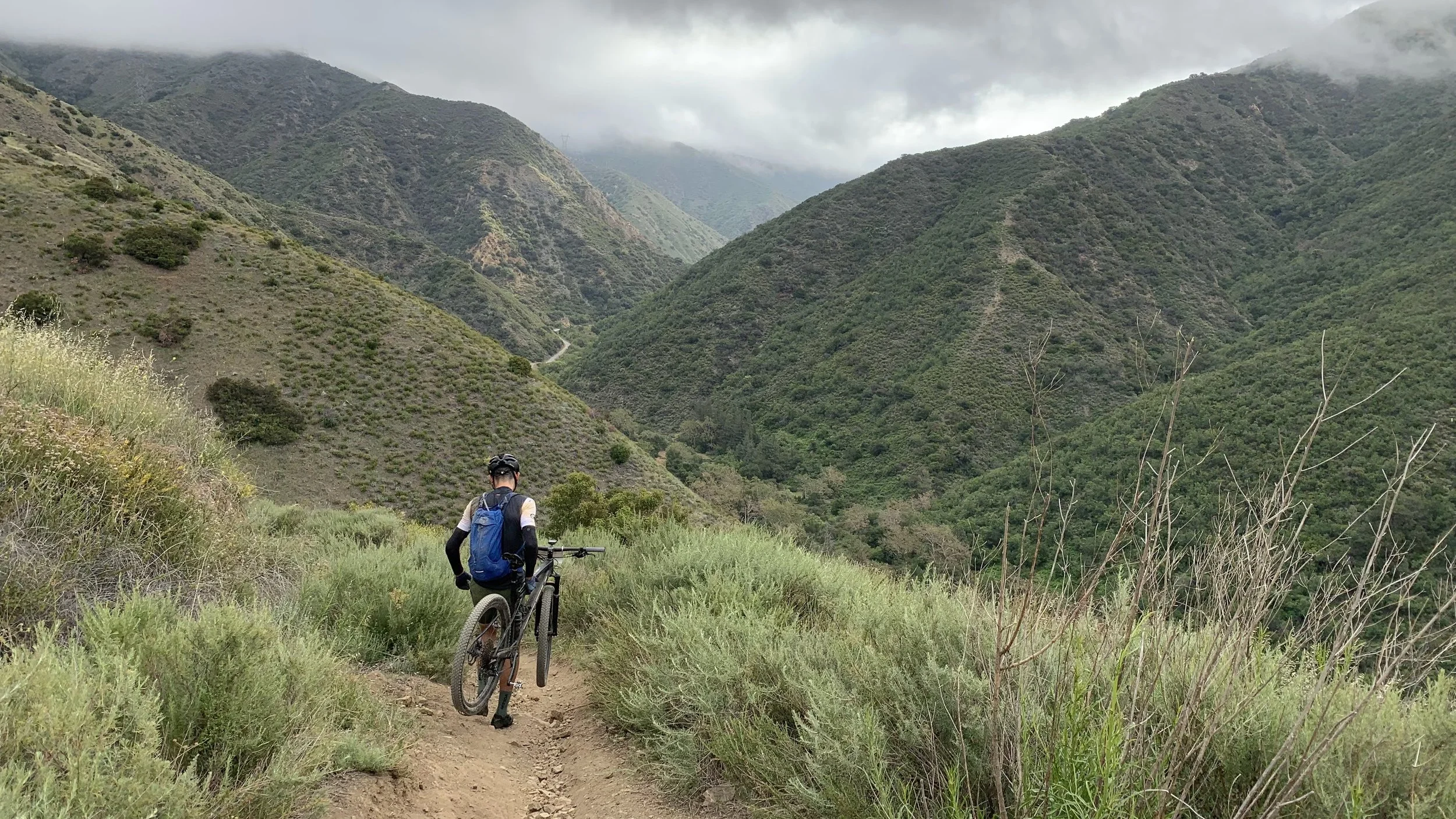 A rider walking down Motorway.