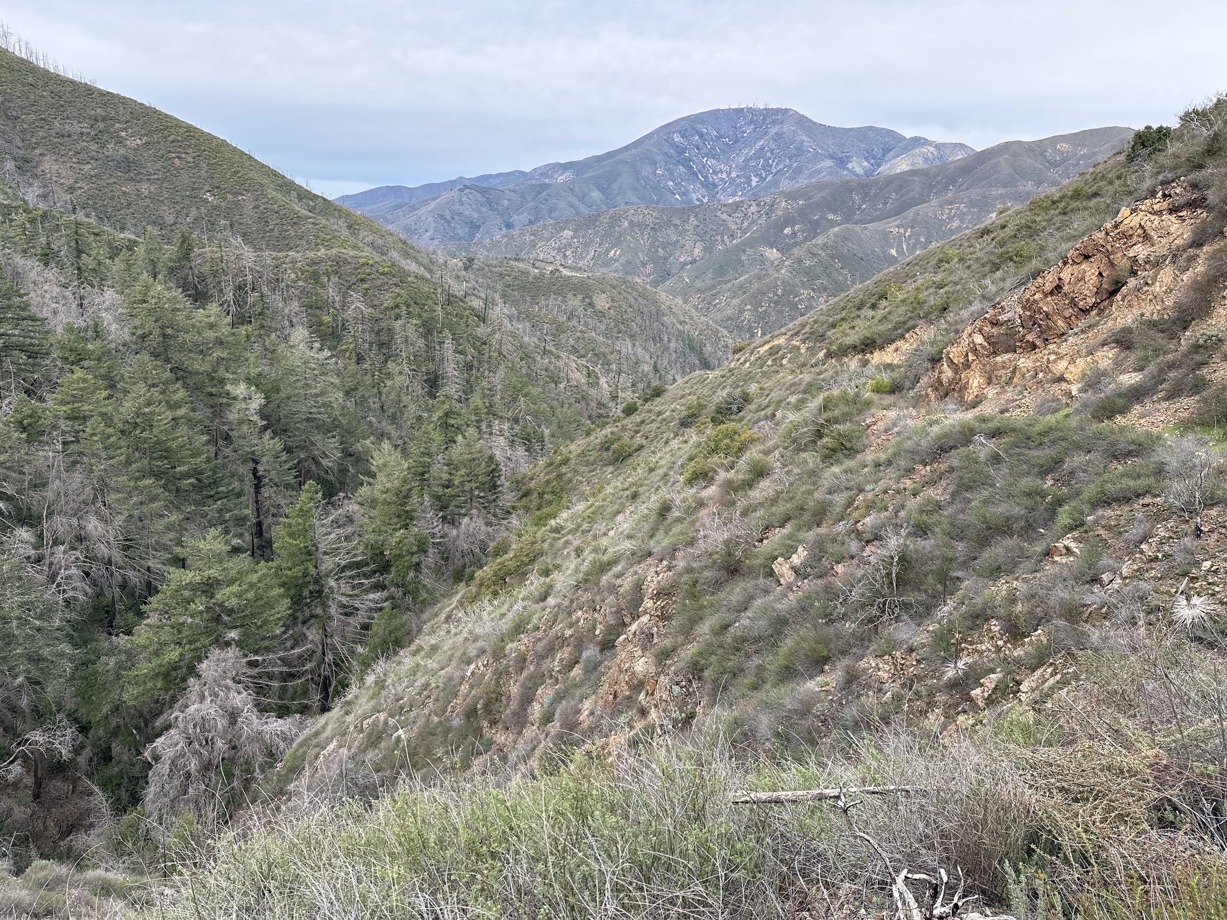 Climbing out of Trabuco Canyon, looking down the namesake trail, towards Santiago Peak.