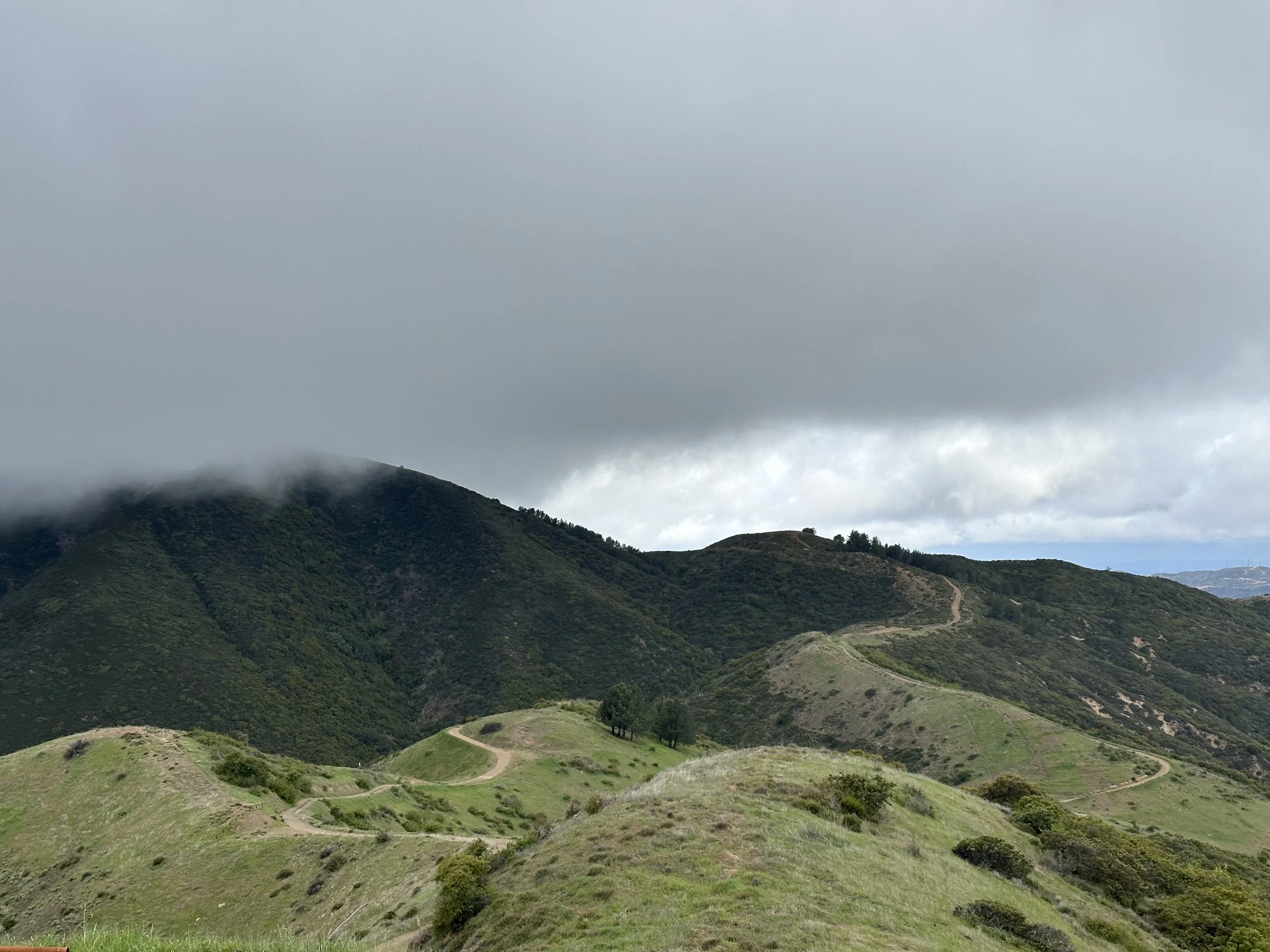 South of Pleasant's Peak, looking back towards the route traveled.