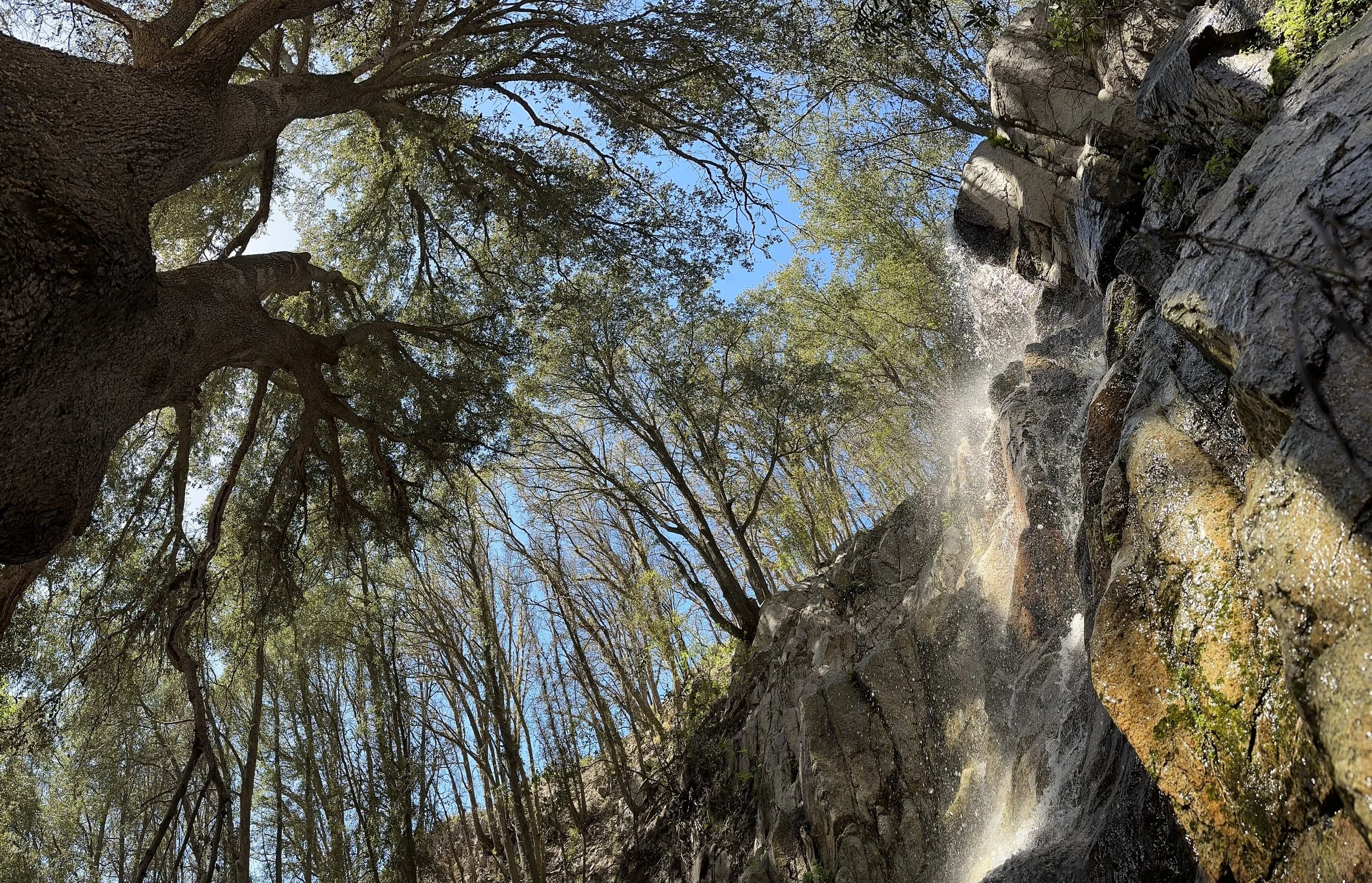Finish the climb to arrive at this beautiful falls, Upper Holy Jim Falls, and Bear Spring.