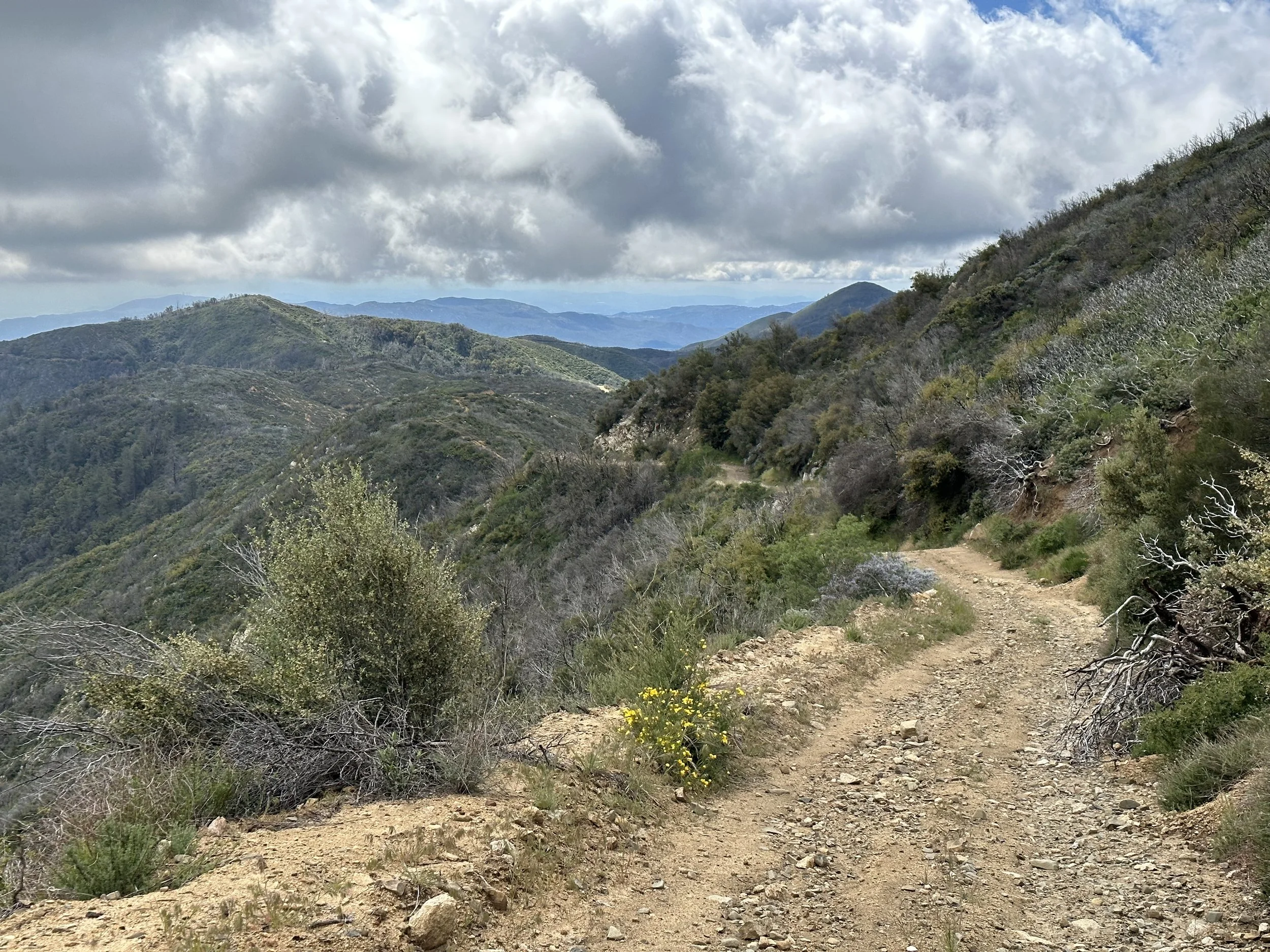 On Main Divide heading towards Los Pinos Peak.