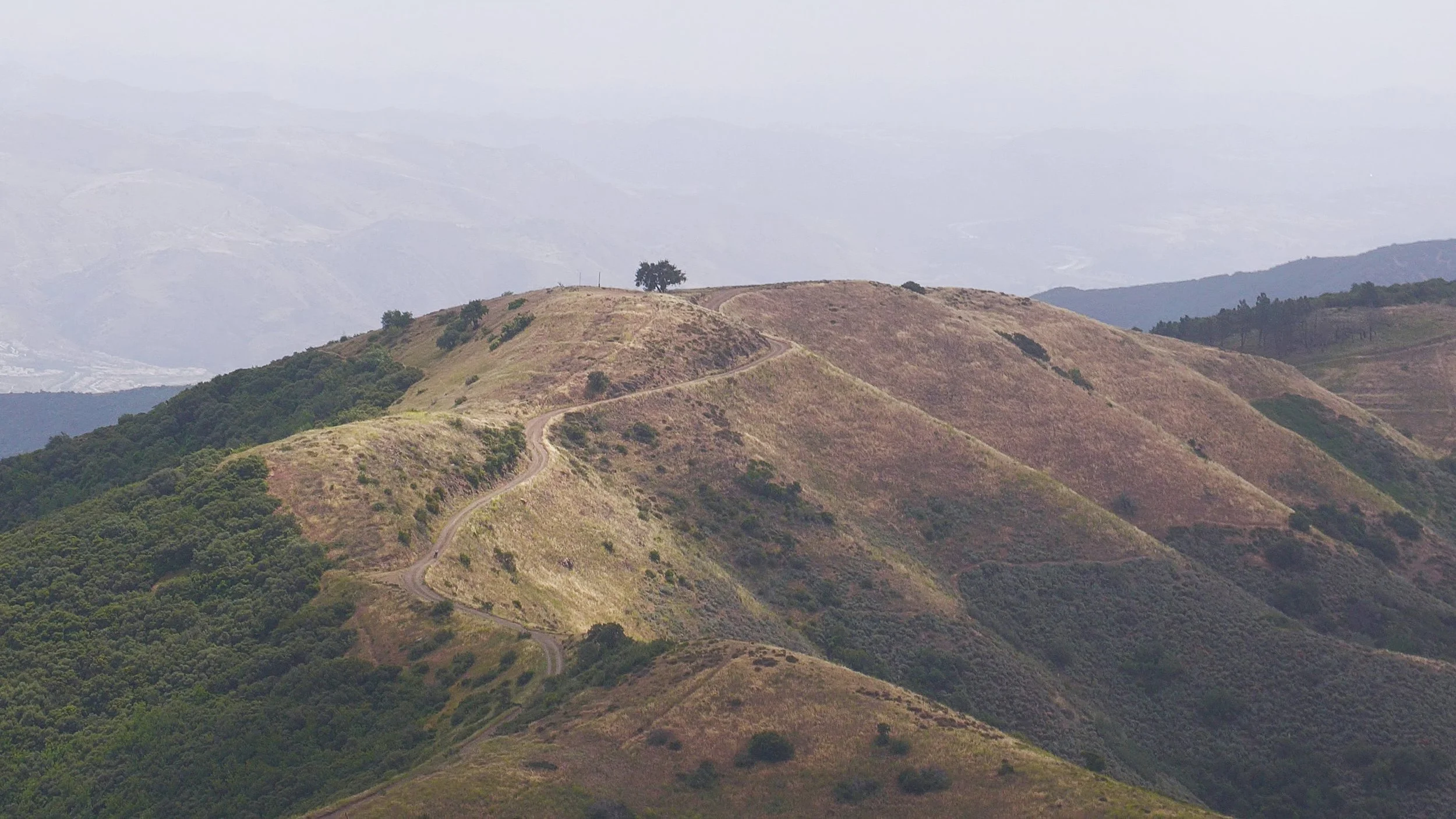 The Main Divide as viewed from atop Pleasant's Peak.