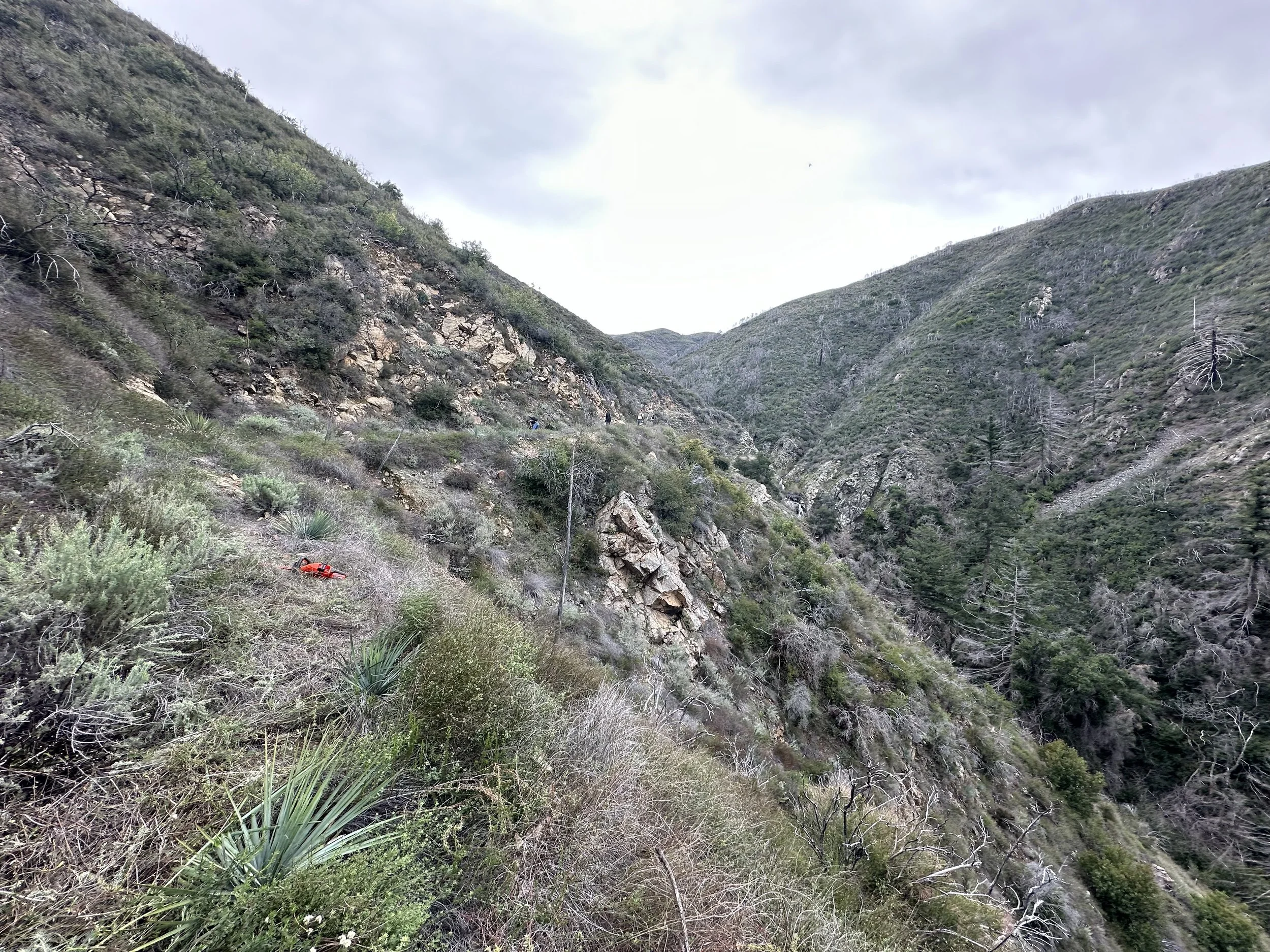 Looking up Trabuco Canyon on the climb back up to Main Divide.