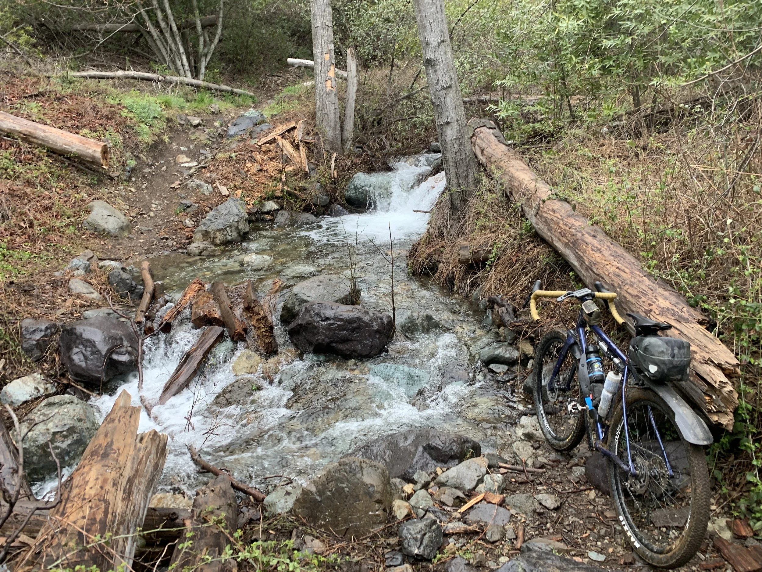 The headwaters of Santiago Creek, at the bottom of Joplin.