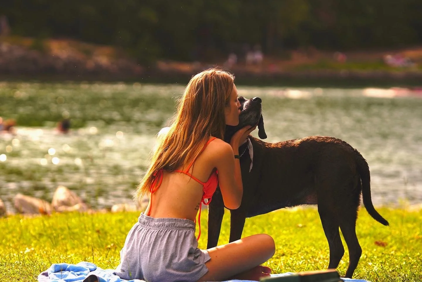 A young woman with long, light brown hair, wearing a red top and gray shorts, kneels on a blanket by a lake, kissing a large black dog with floppy ears, during sunset.
