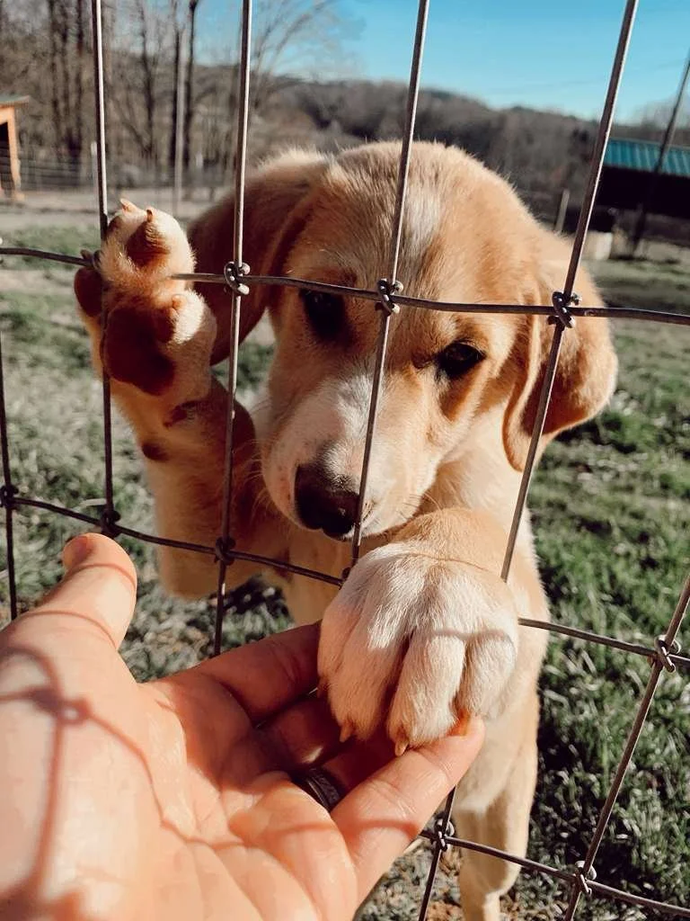 Basic Monthly Donation