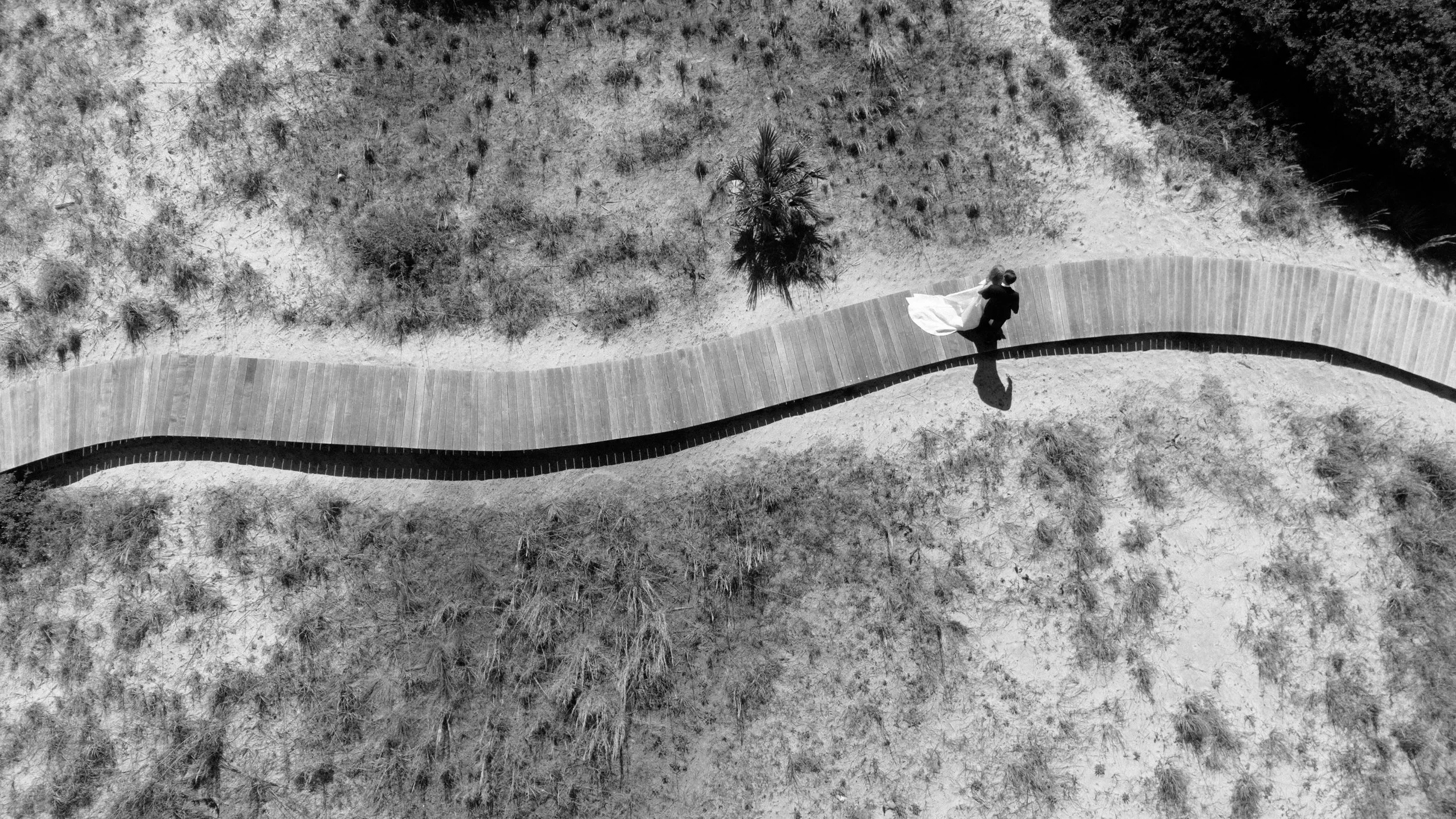 A black and white aerial photo of a bride and groom walking along a curved wooden pathway in a semi-arid landscape with scattered vegetation, including a palm tree.