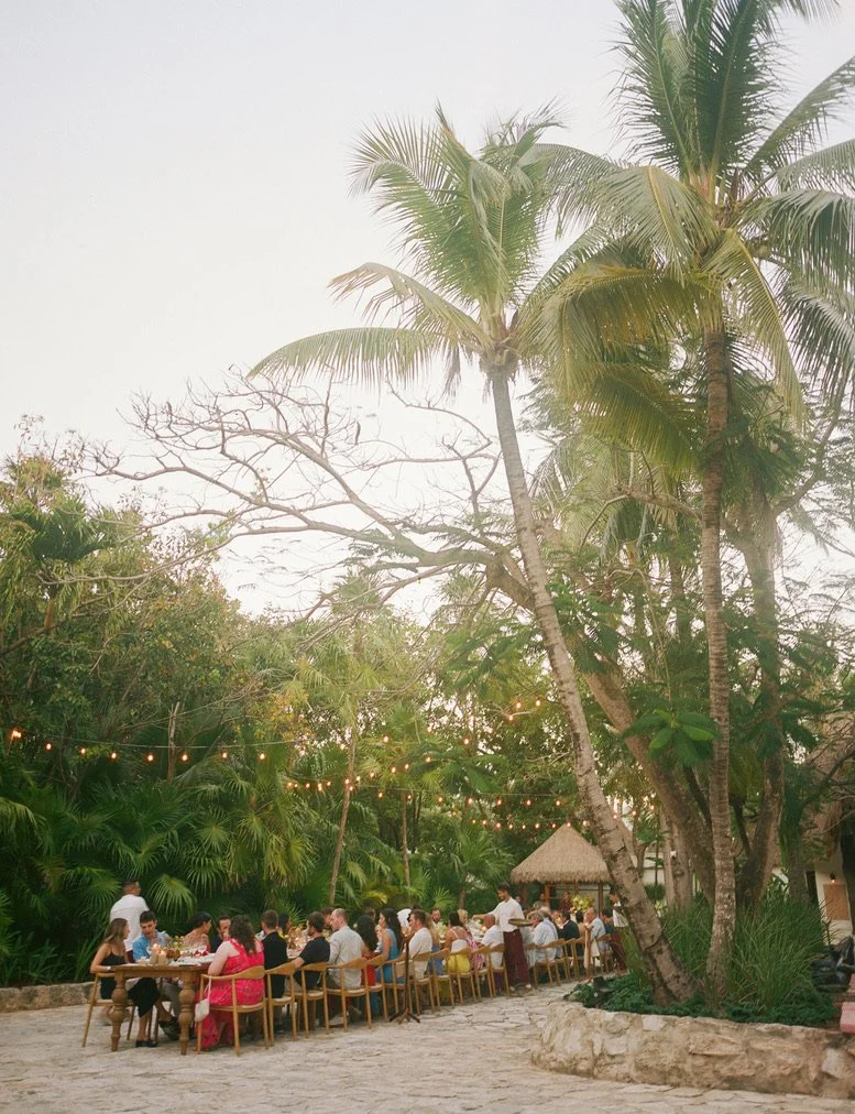 People dining at long tables outdoors in a tropical setting with palm trees and string lights overhead.