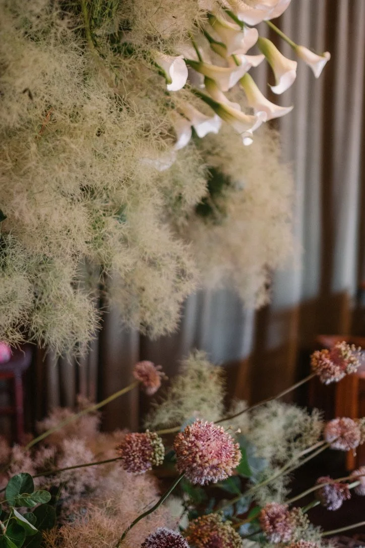 Close-up of white and pink flowers with fluffy, feathery greenery in the background.