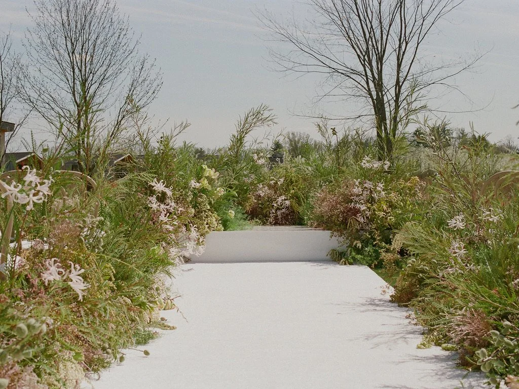 A snow-covered pathway surrounded by flowering plants and trees.