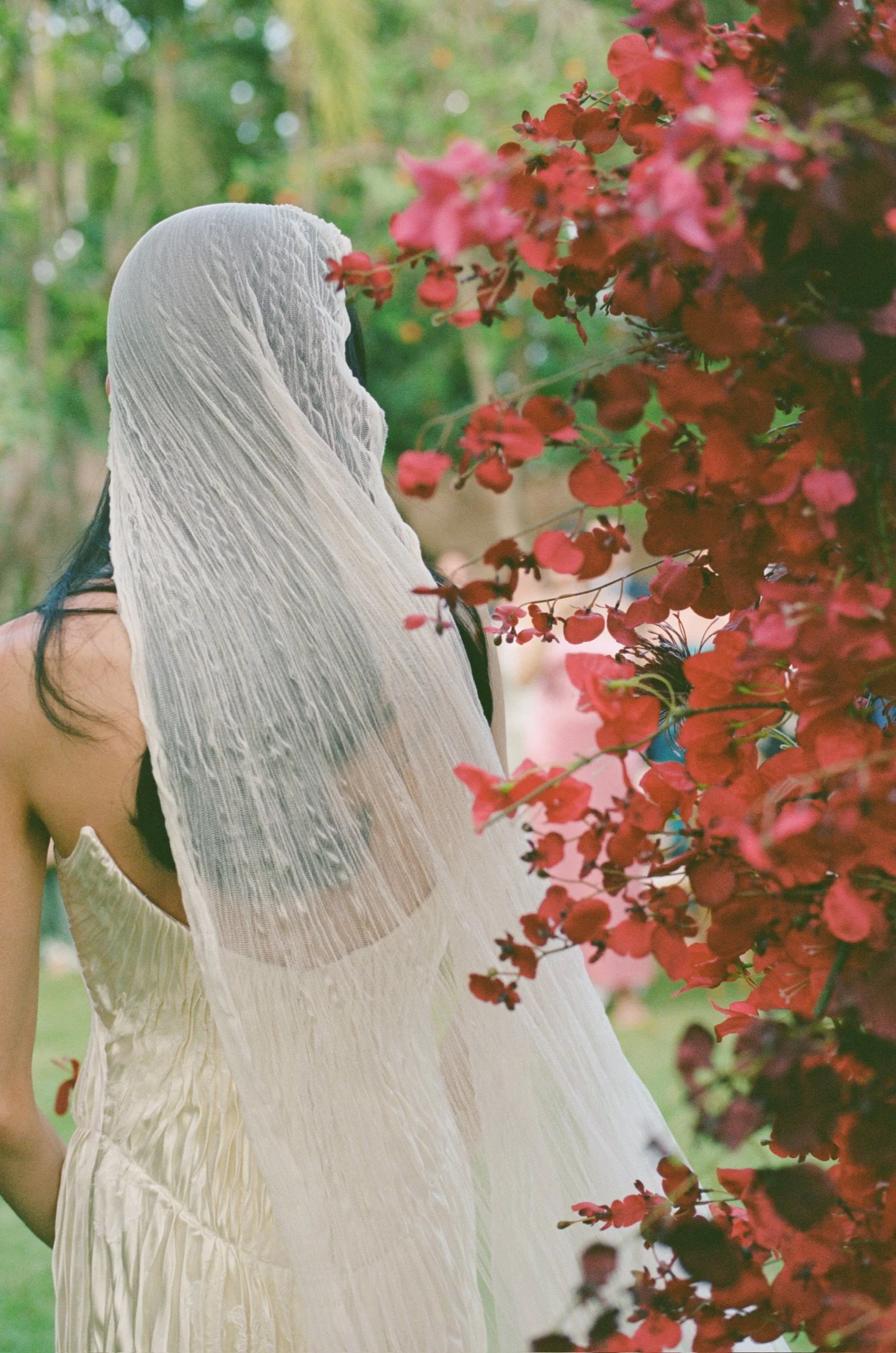 A woman in a white dress with dark hair and a Danielle Frankel veil standing beside a red flower bush in a garden setting.