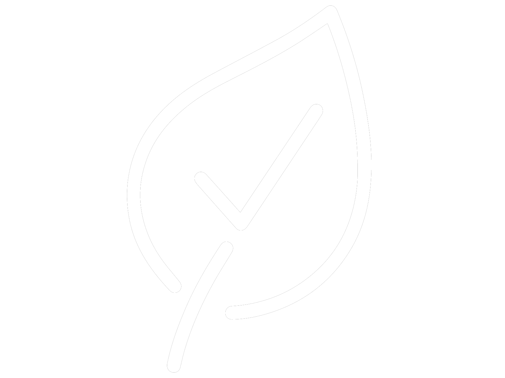 100 percent eco-friendly green certified cleaning products San Francisco