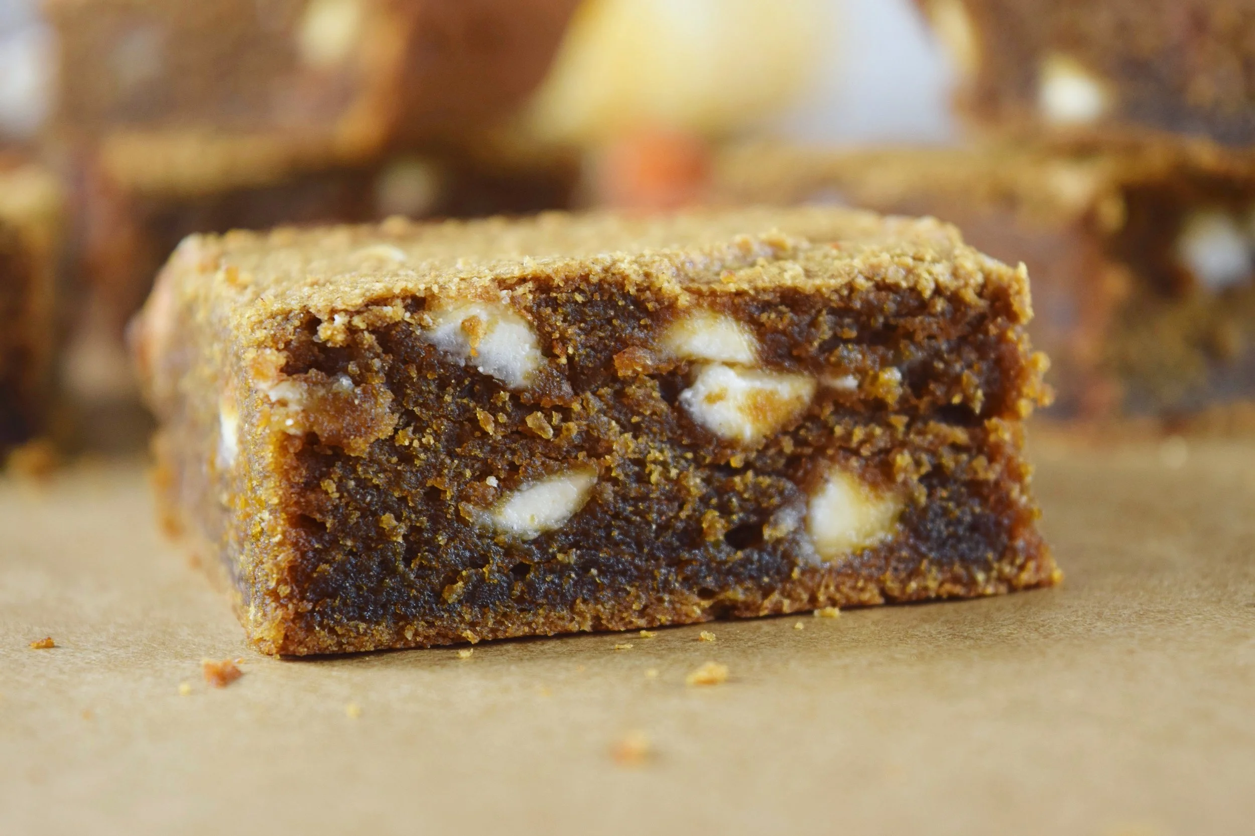 Grain Free Pumpkin Blondie Closeup 2.JPG