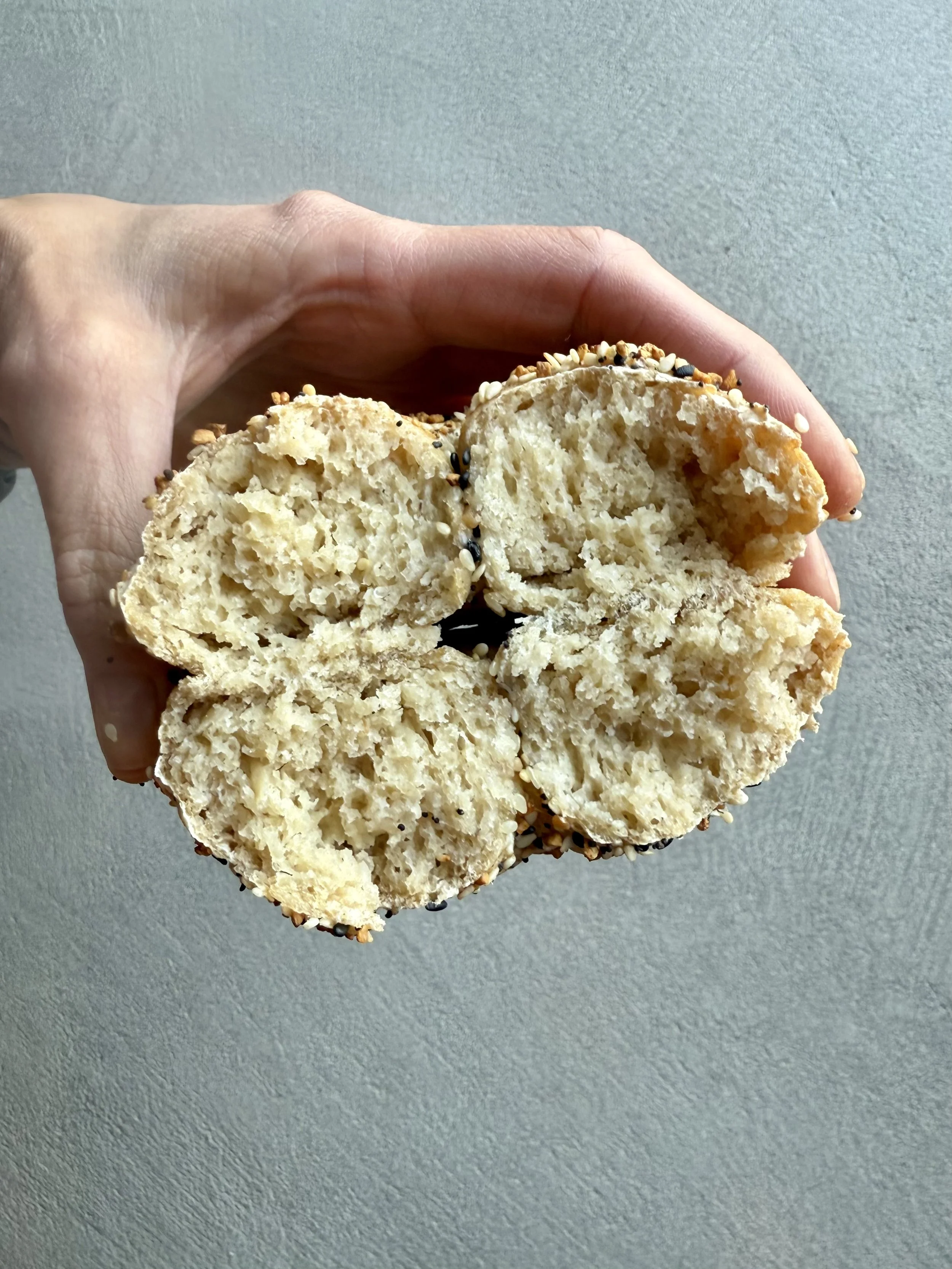 Everything Bagel Interior.jpg