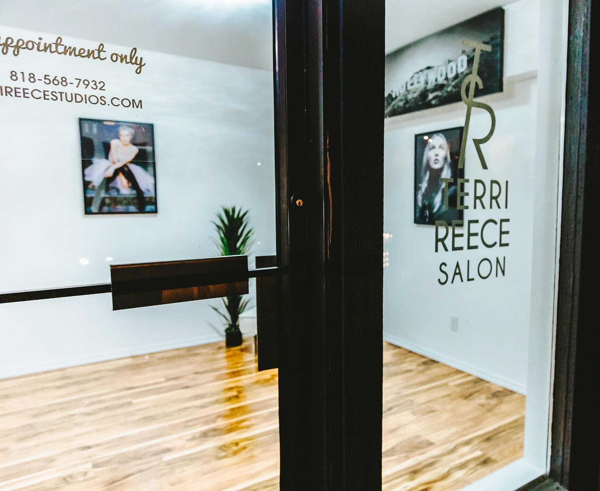 View of a hair salon through a glass door with the salon's logo 'TERRI REECE SALON' on the glass. Inside, there is framed artwork on the white walls and a potted plant on the wooden floor.