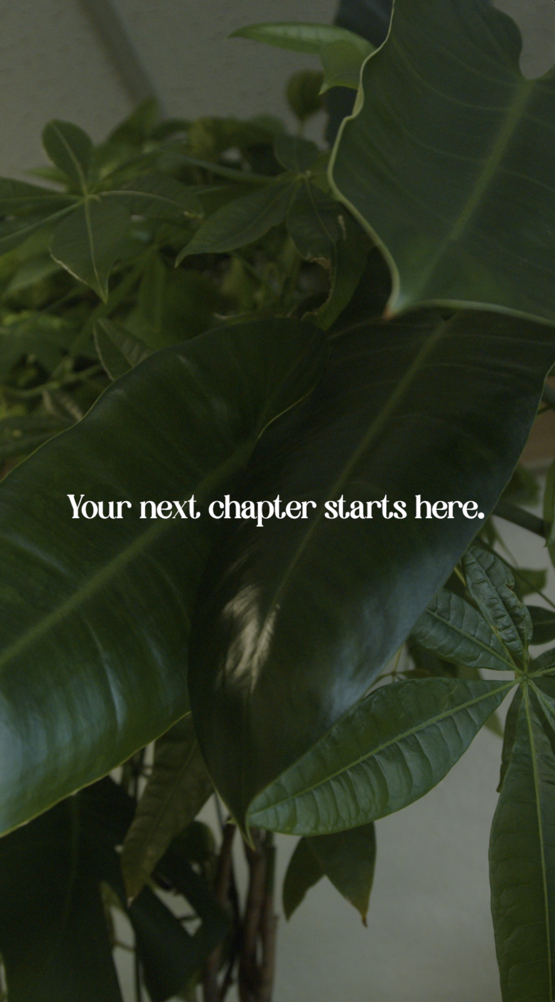 Screenshot 2025-12-15 at 9.24.45 PM.png