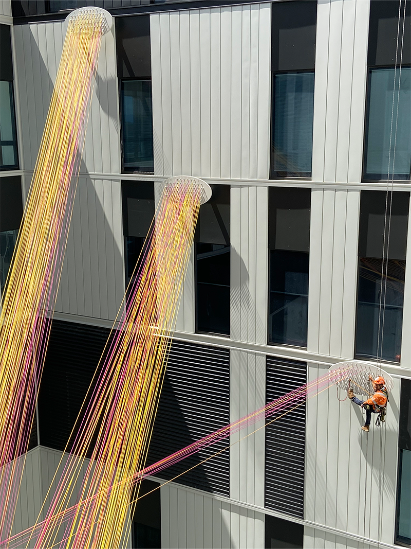 Public_Art_Installation.png