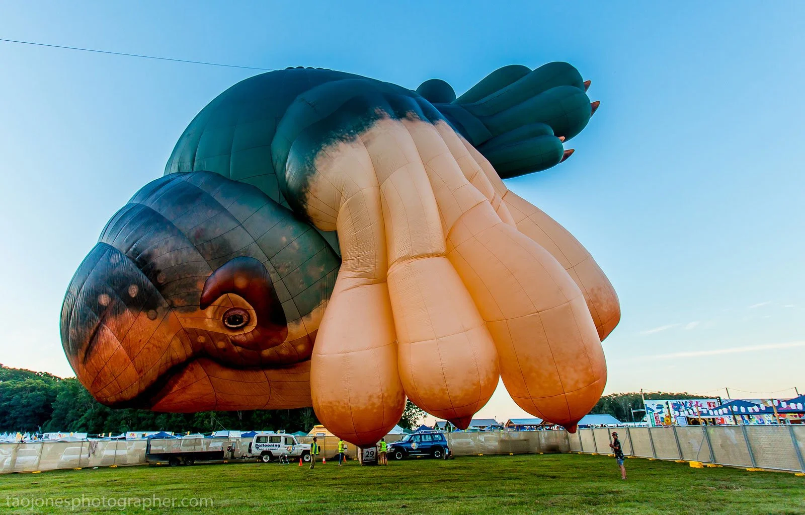 SkyWhale_Patricia_Piccinini.jpg