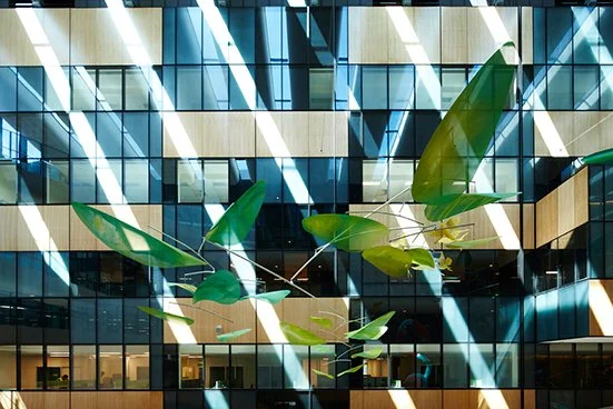 Royal_Childrens_Hospital_Melbourne_Jade_Oakley_Public_Art.jpg
