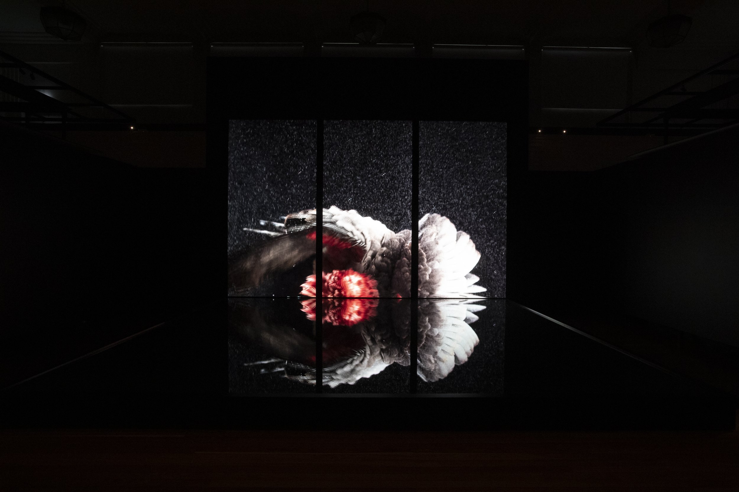 Film_Sound_Art_Exhibition.jpg
