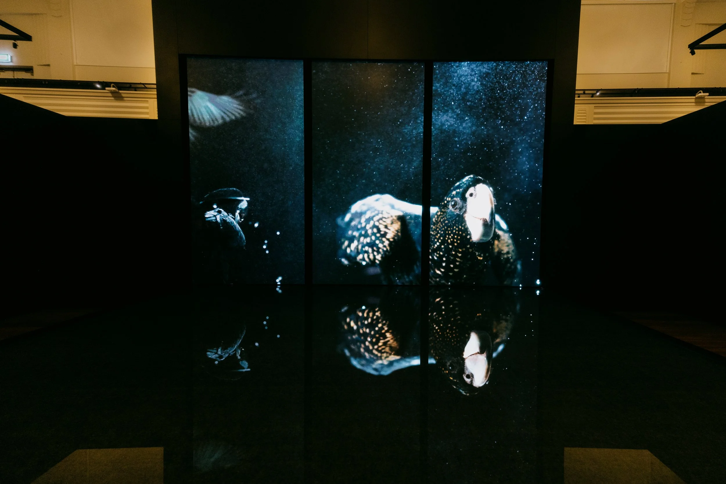Public_Art_Film_Sound.jpg