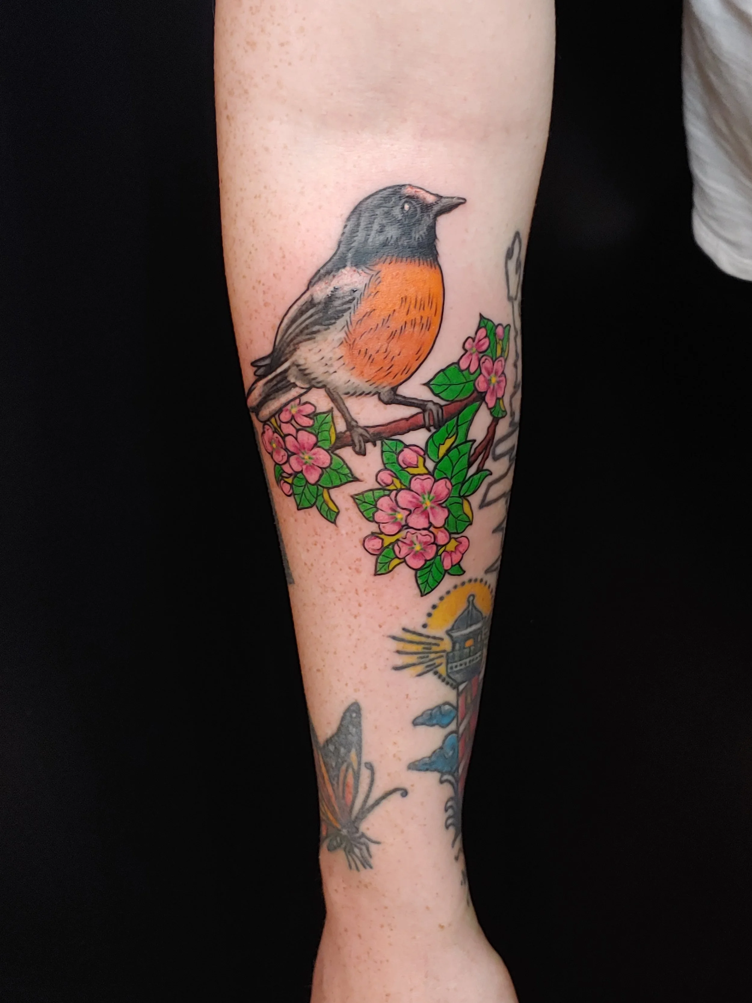 Pajaro_1.jpg