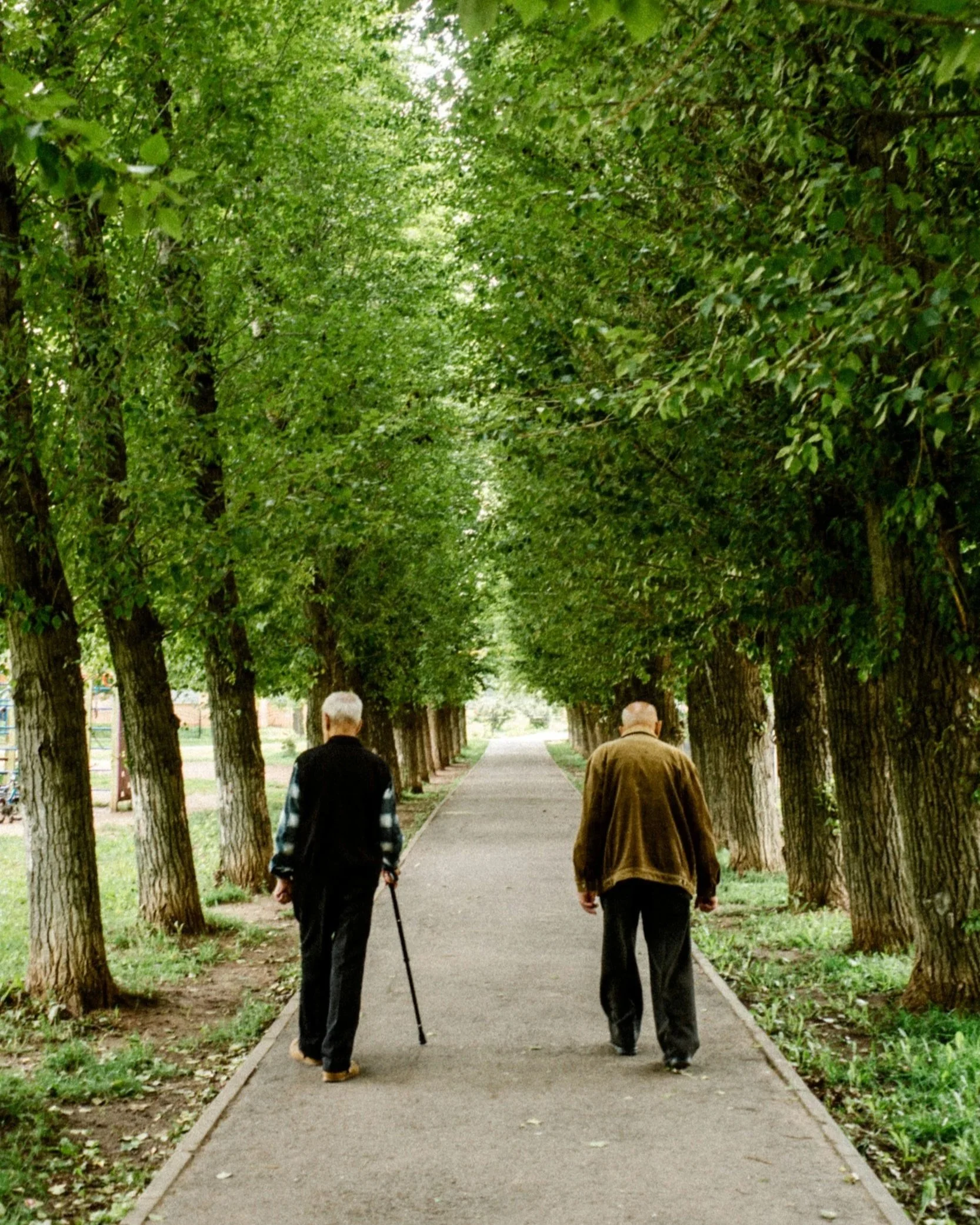 Two elderly men walking on a tree-lined pathway in a park, one using a cane.