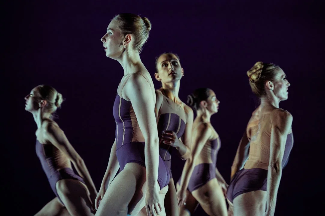 Disclaimer (2025) by Ted Thomas & Frances Ortiz