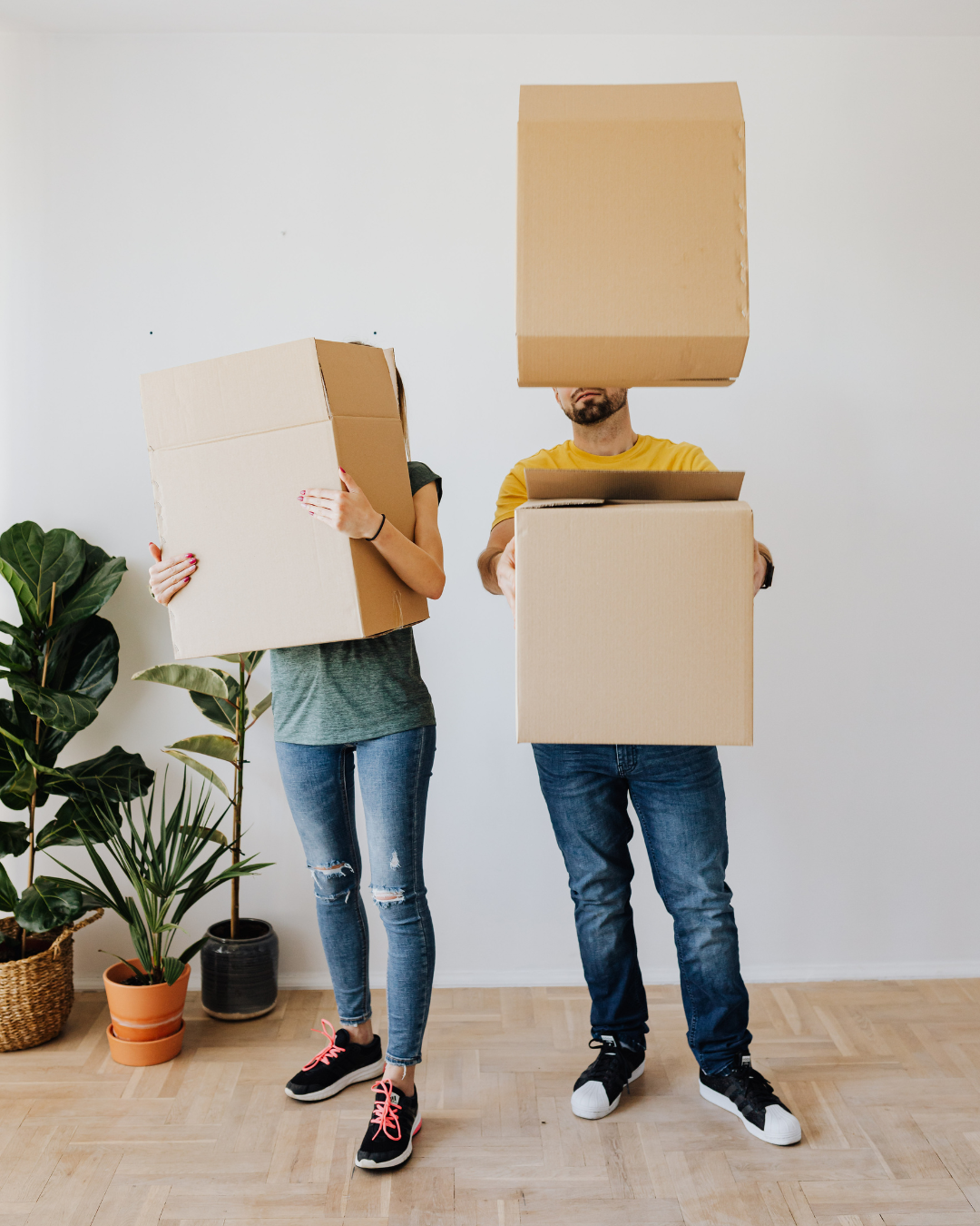 Two people stand in a room holding cardboard boxes over their heads, playfully hiding their faces. Plants in pots are visible on the left, adding a lively touch.