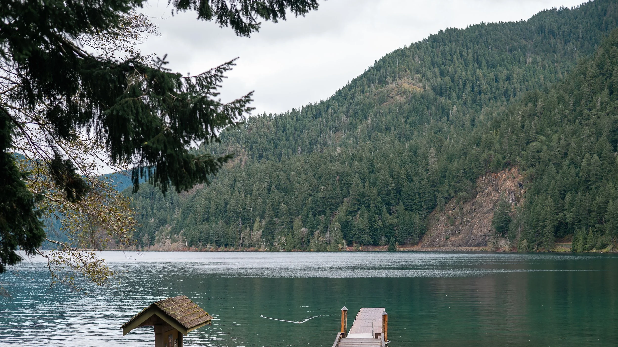 A lake surrounded by forested mountains, with a small wooden pier and boat dock in the foreground, and overhanging tree branches.