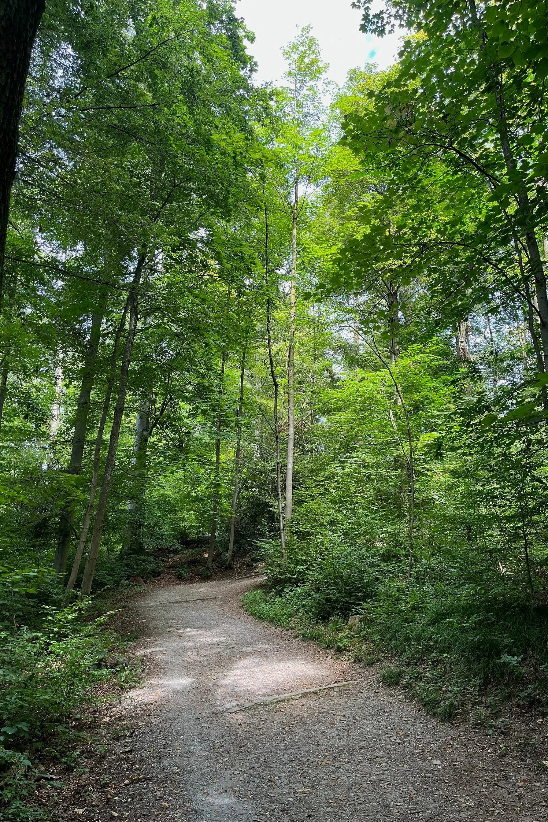 Το τέλος της ευθύνης