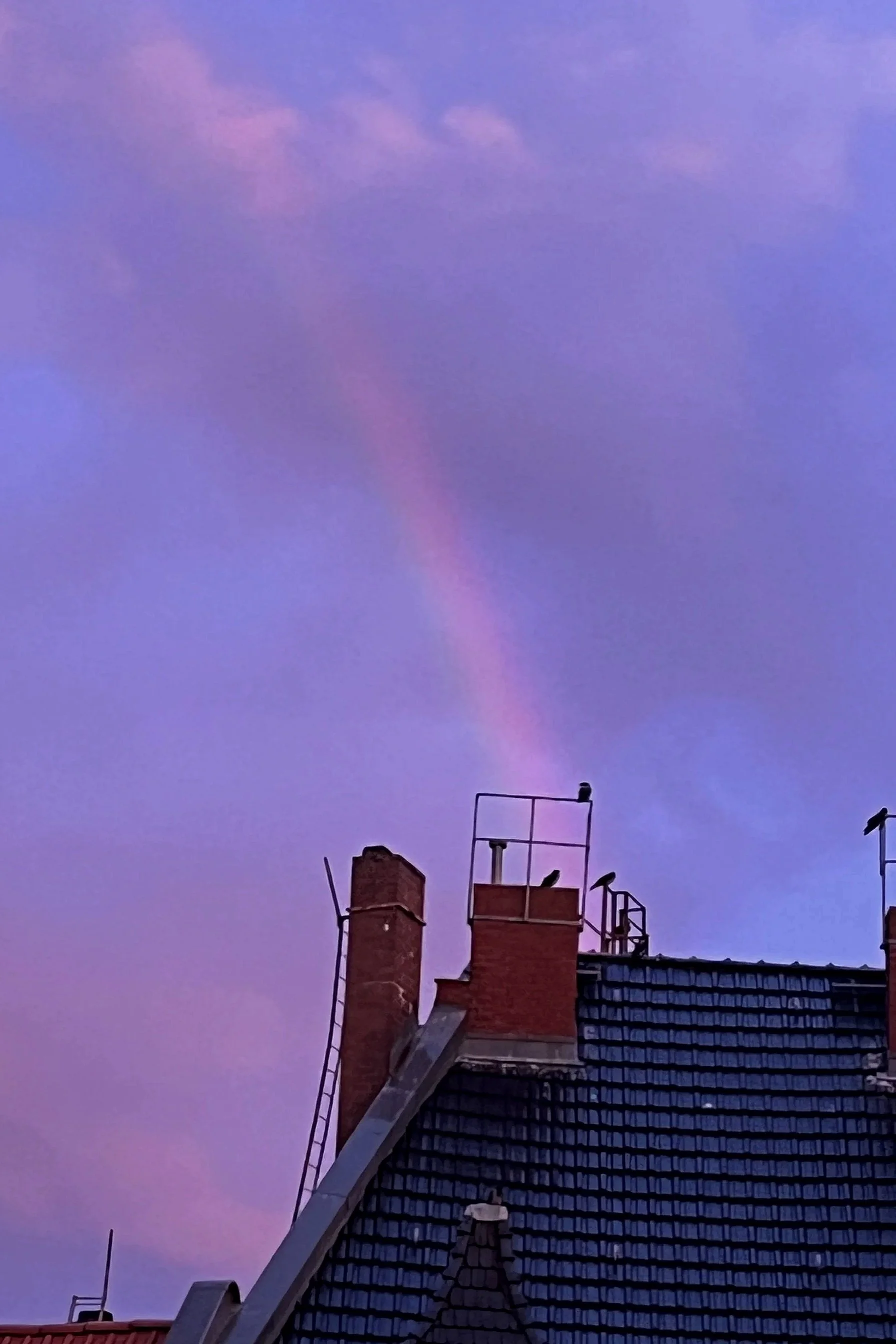 A commented version of Ai Weiwei's article