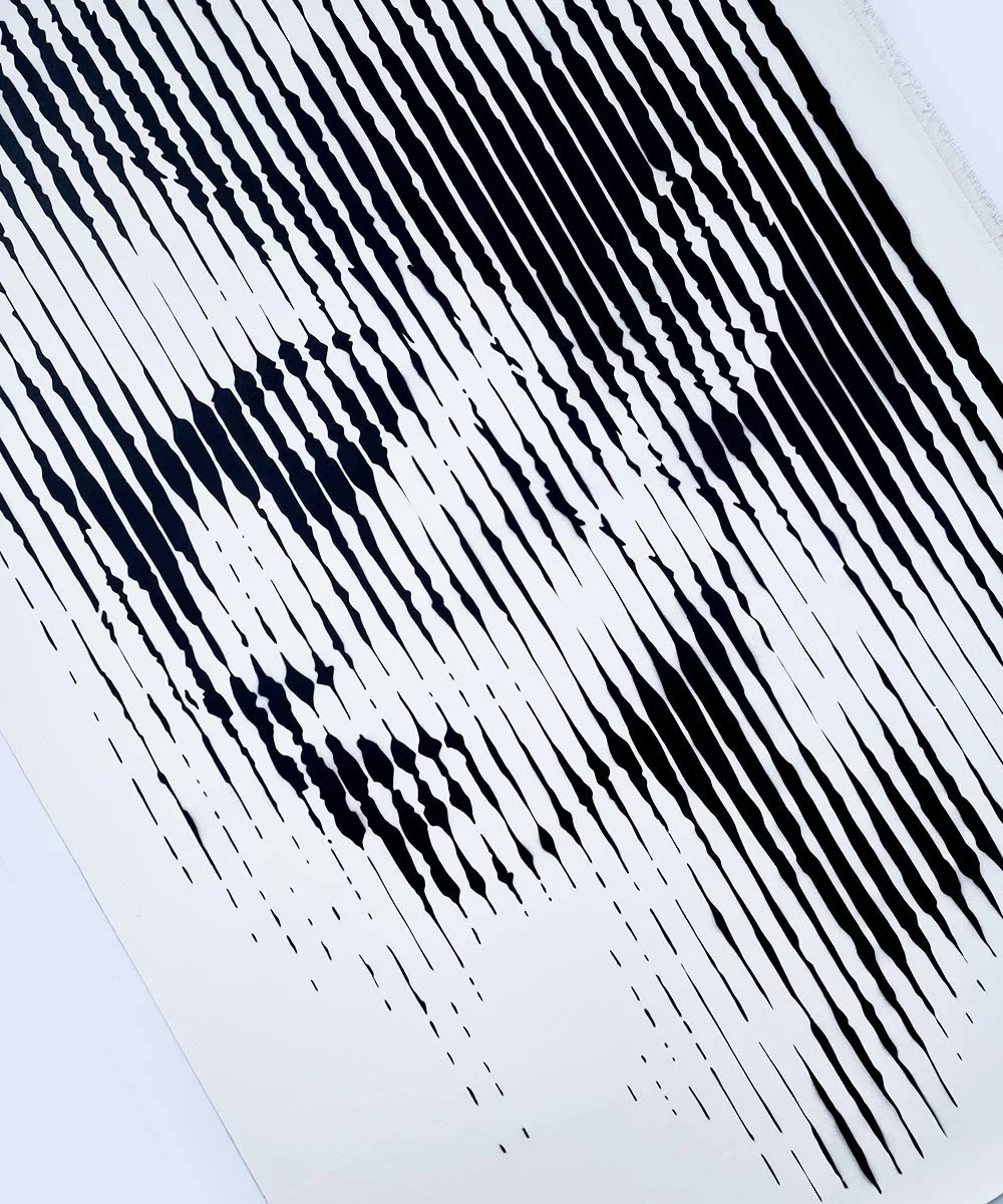 Portrait asko art line work 150x100cm 8.jpg